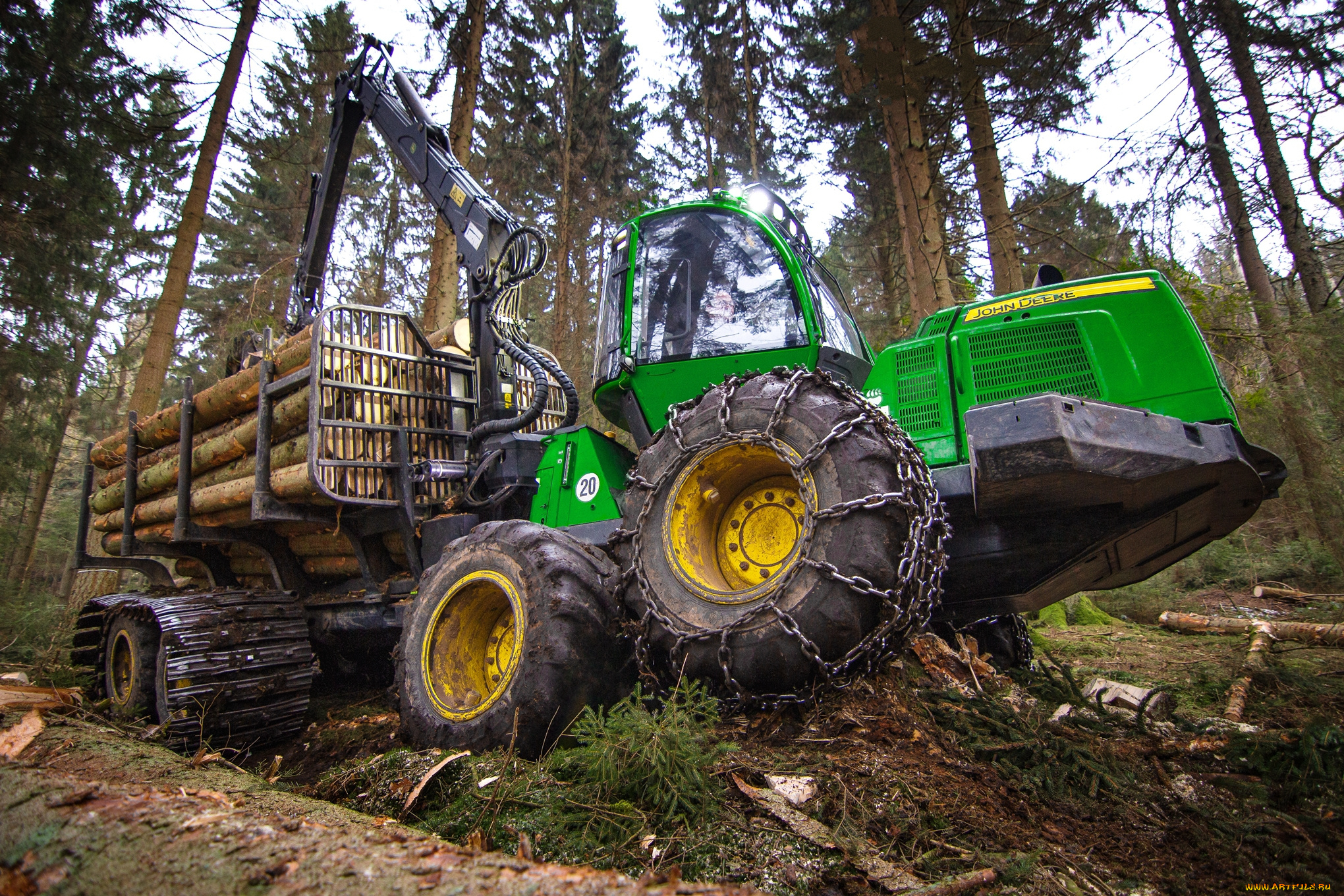 техника, лесоповалочная, техника, лесозаготовка