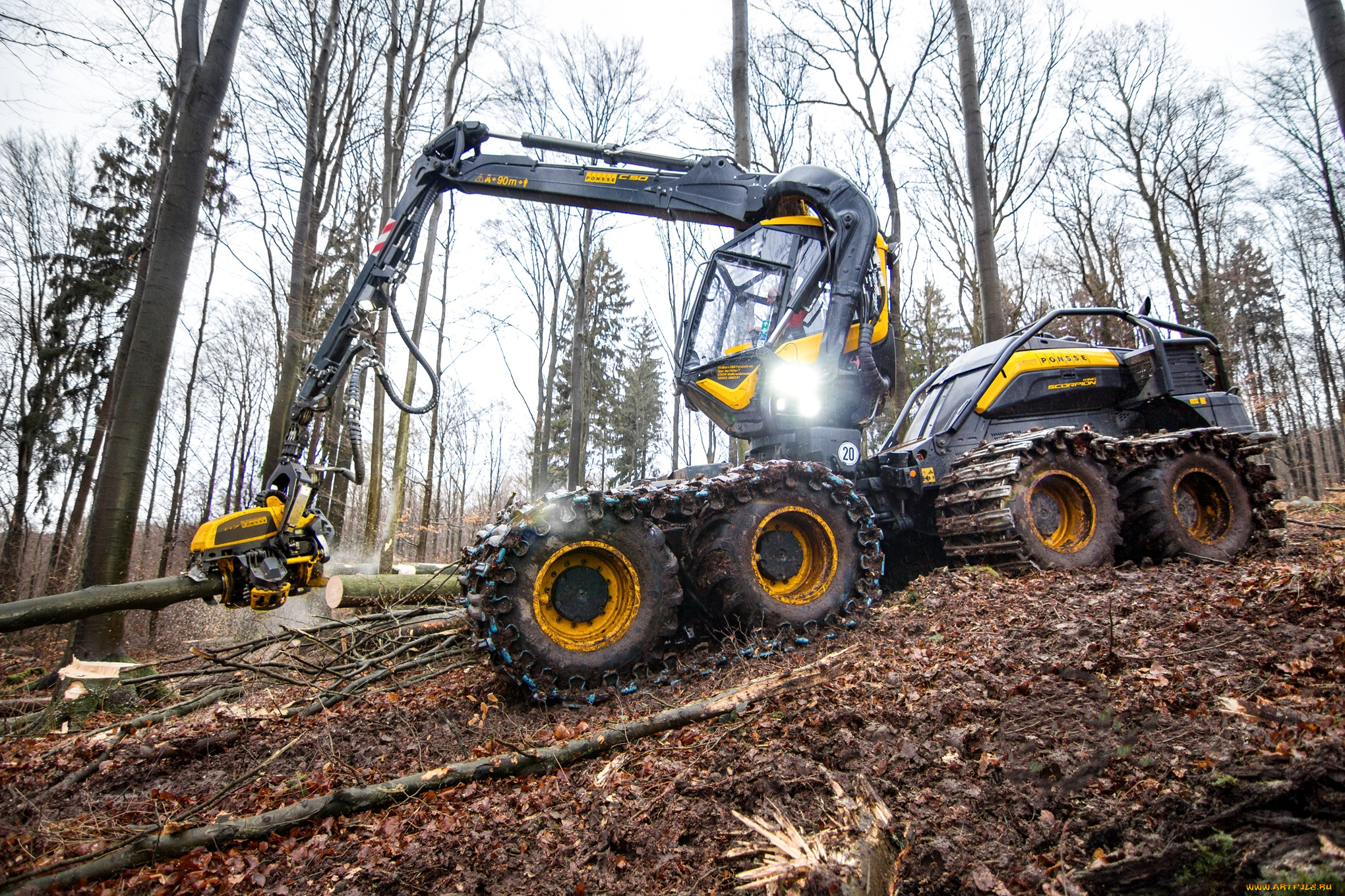 техника, лесоповалочная, техника, лесозаготовка