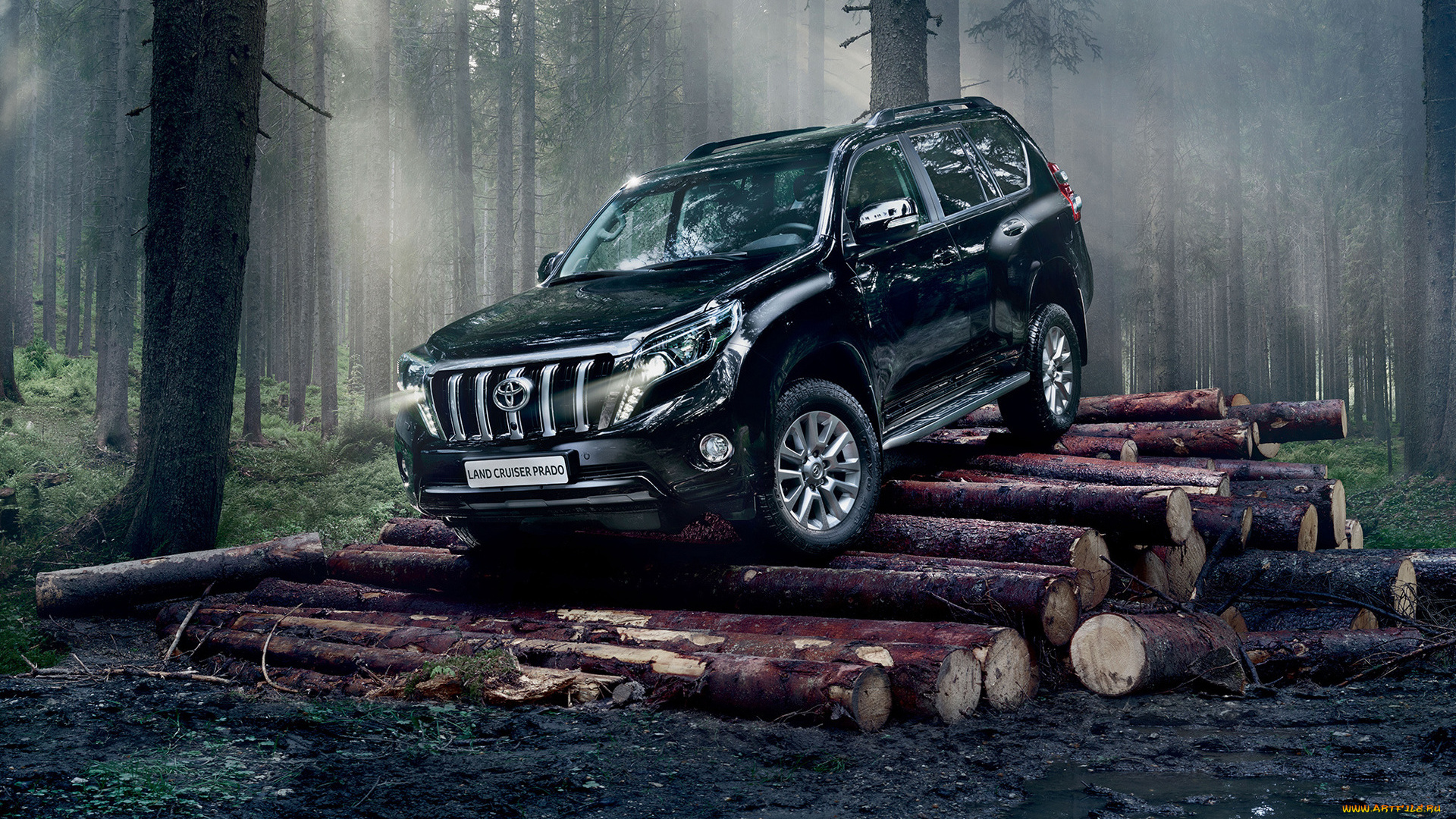 автомобили, toyota, land, cruiser, prado, тойота, лес, бревна, черный