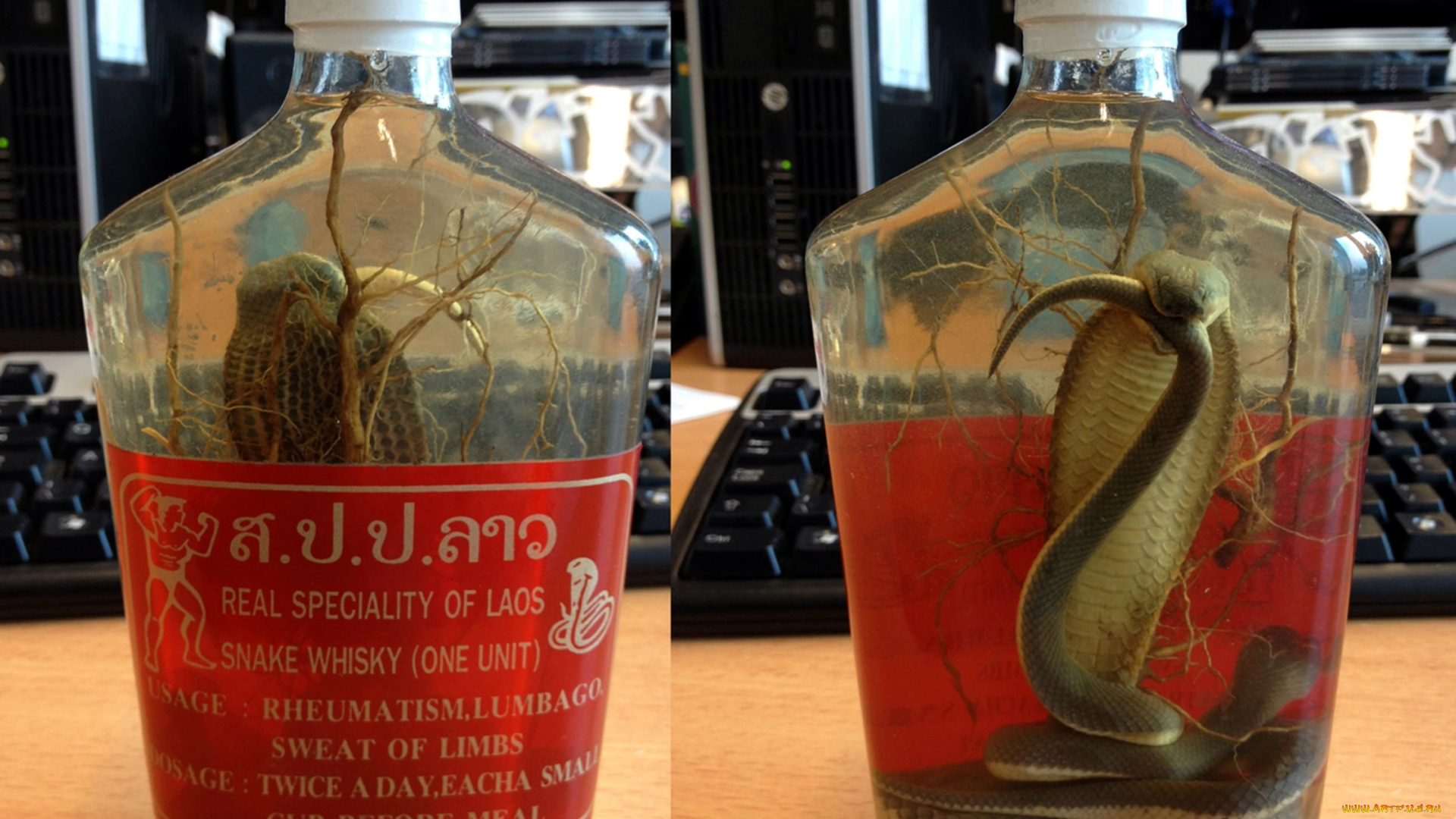 бренды, бренды, напитков, , разное, виски