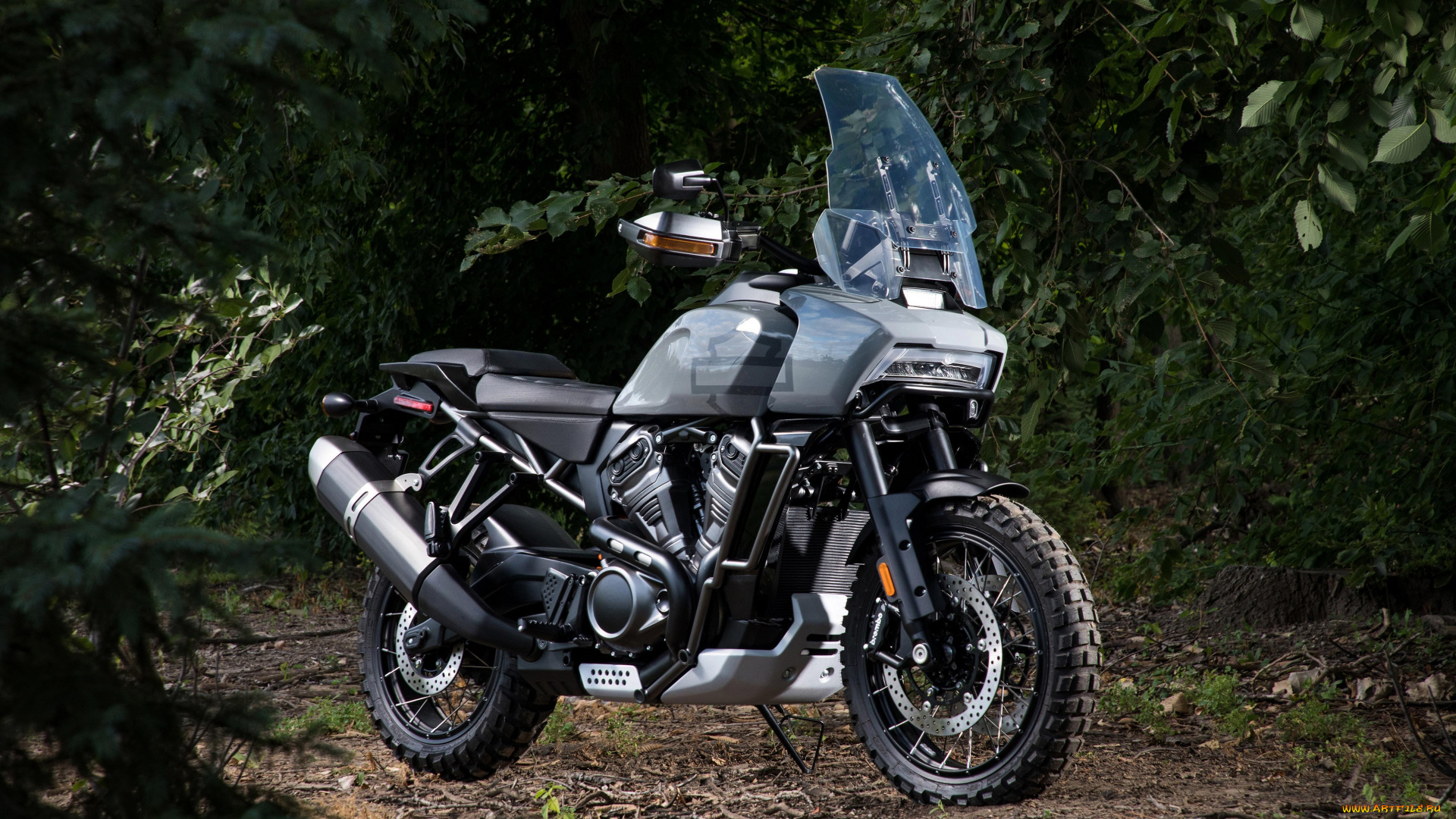 harley, davidson, pan, america, 2020, мотоциклы, harley-davidson, ветровое, стекло, pan, america, 2020, harley, davidson, motorcycles, деревья