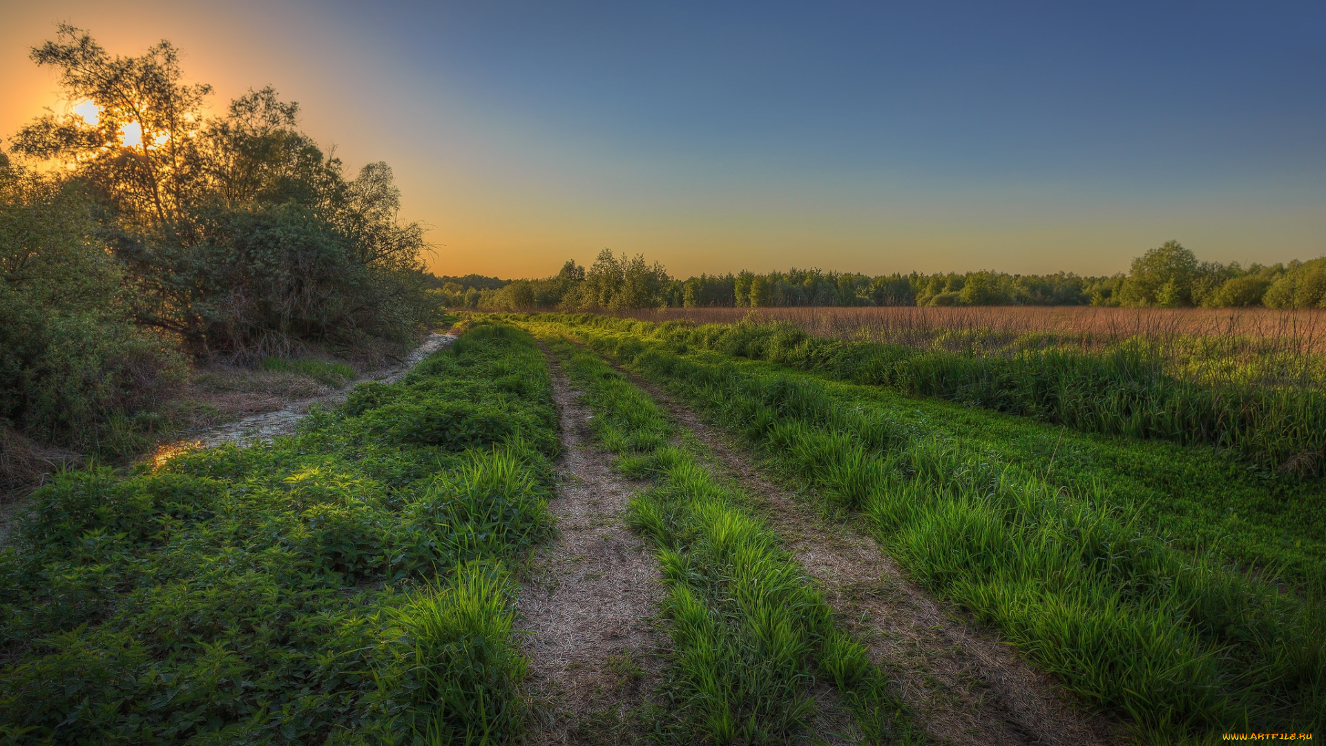 природа, дороги, простор