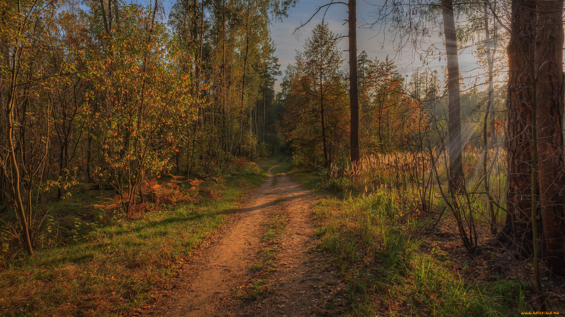 природа, дороги, простор