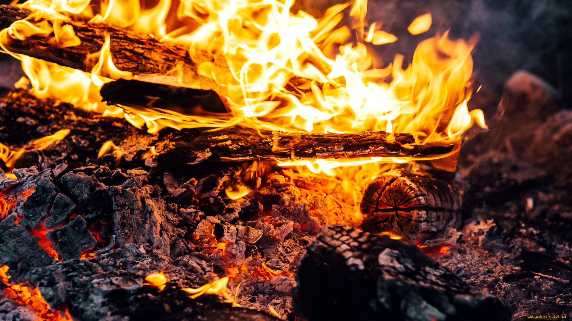 природа, огонь, костер, пламя