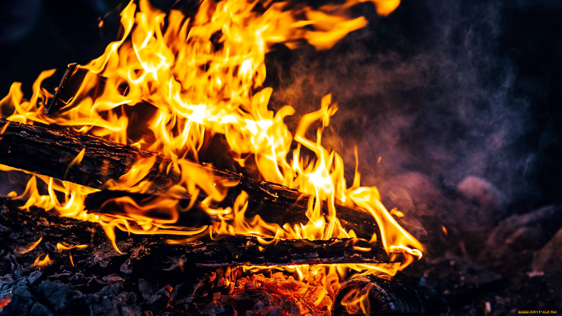 природа, огонь, пламя, костер