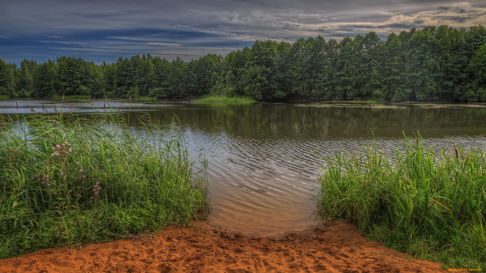 природа, реки, озера, простор