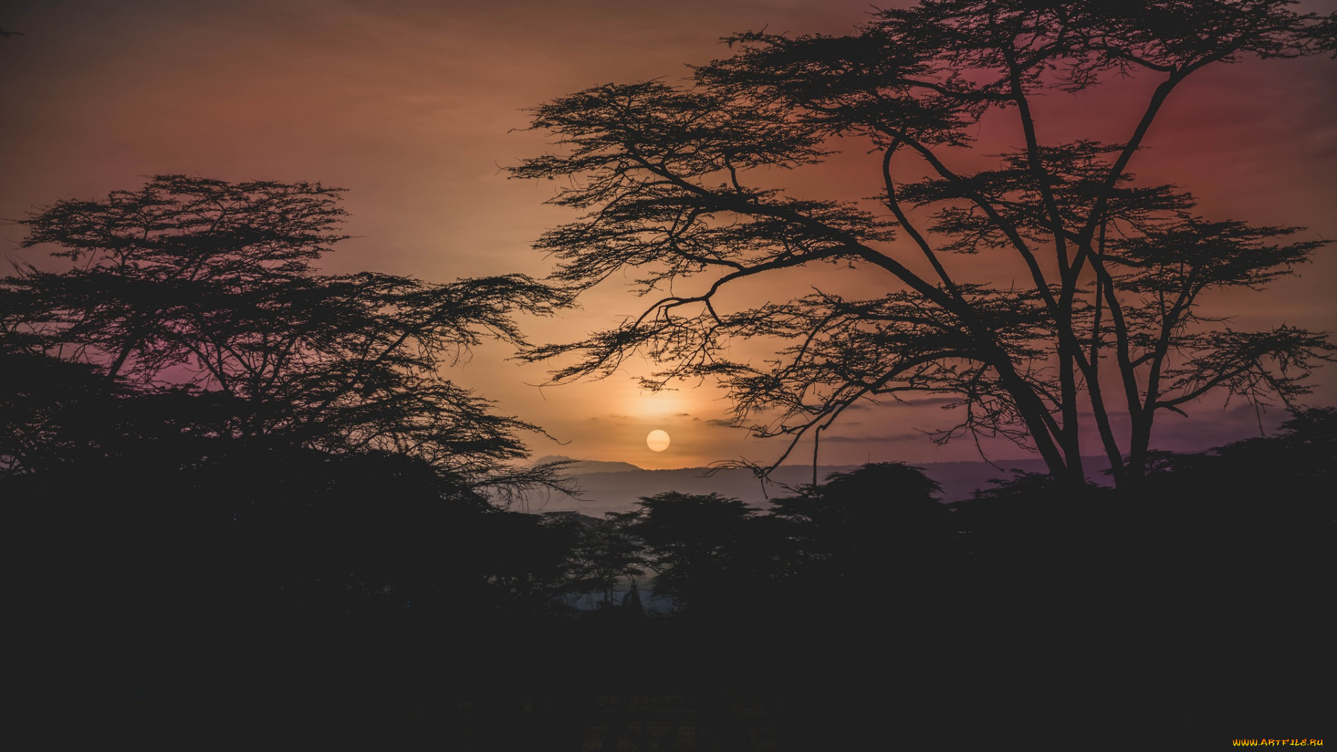 природа, восходы, закаты, простор