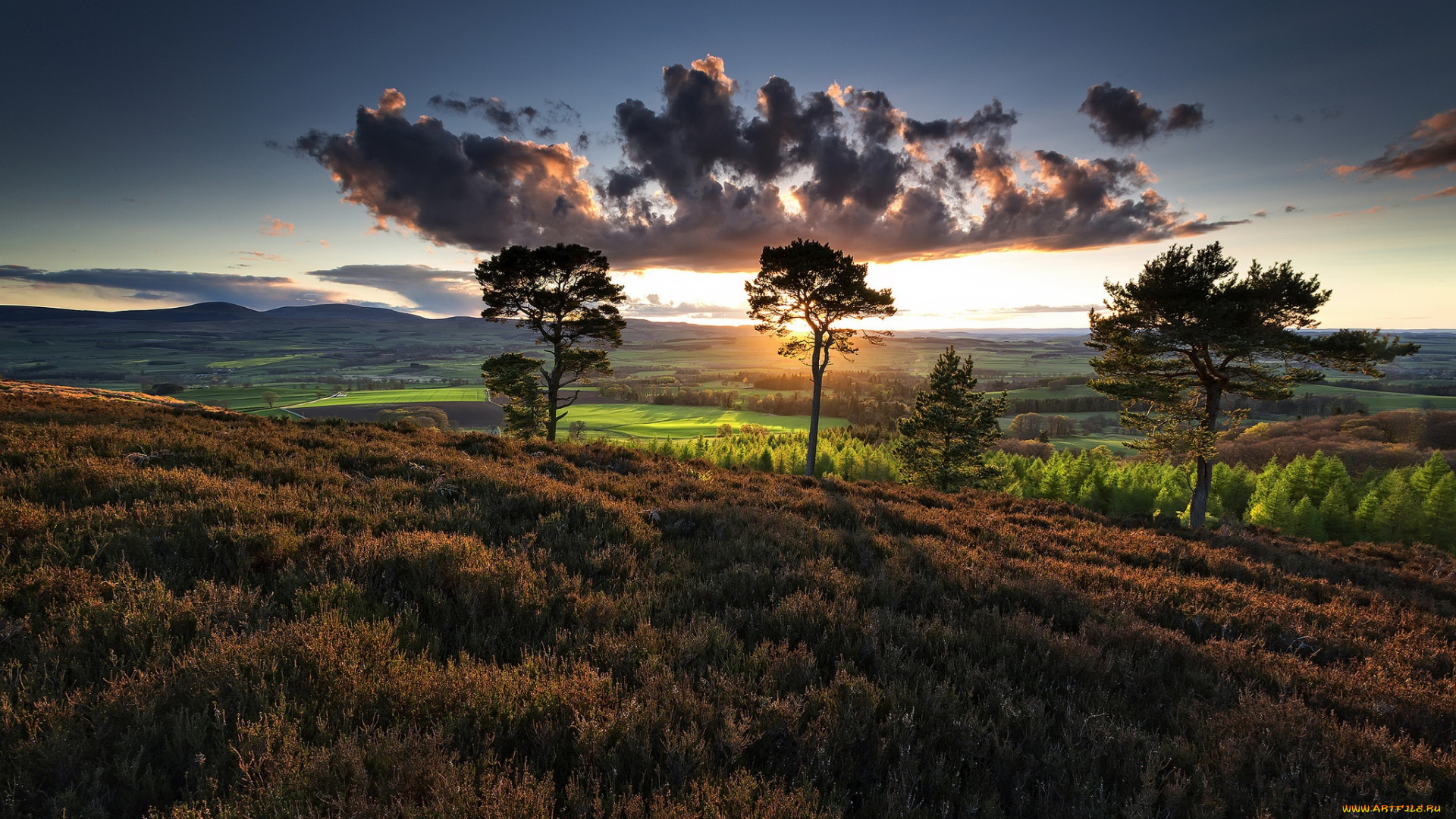 природа, восходы, закаты, солнце, небо, облака, wallhaven, пейзаж