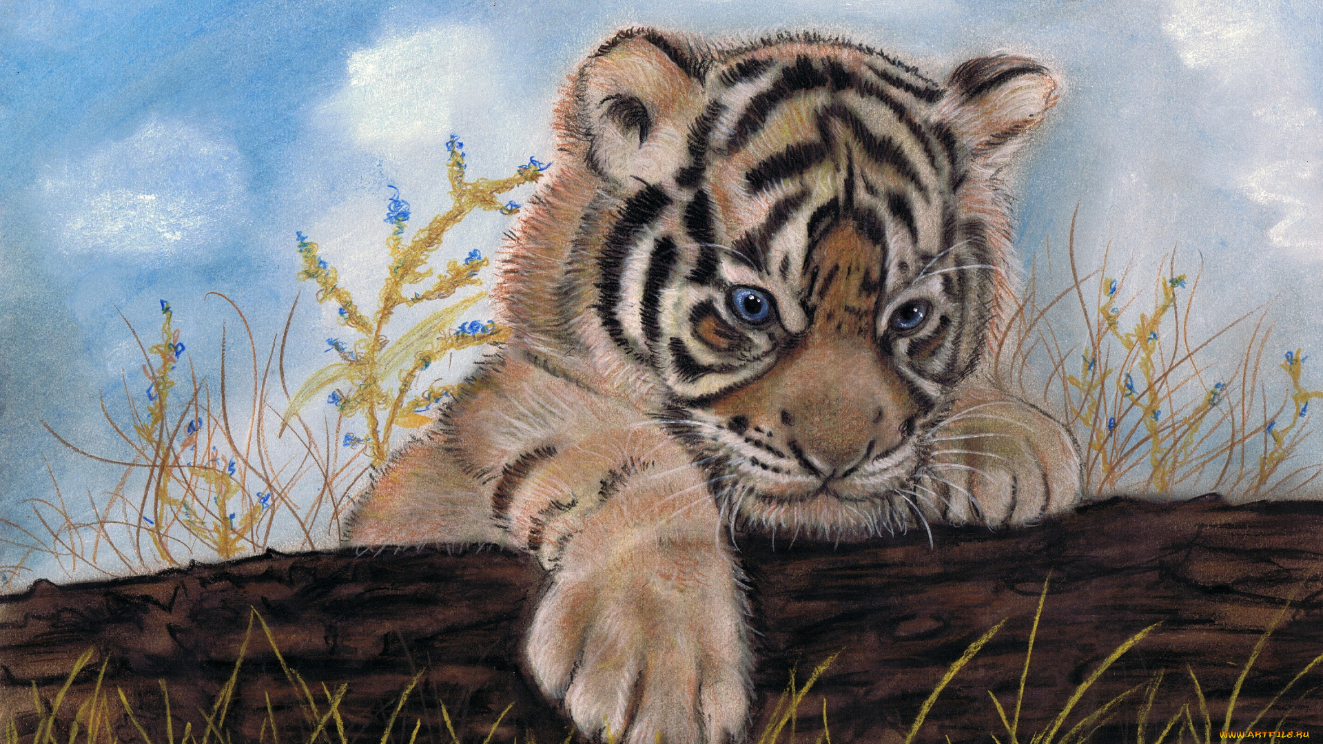 рисованное, животные, тигренок, фон, взгляд