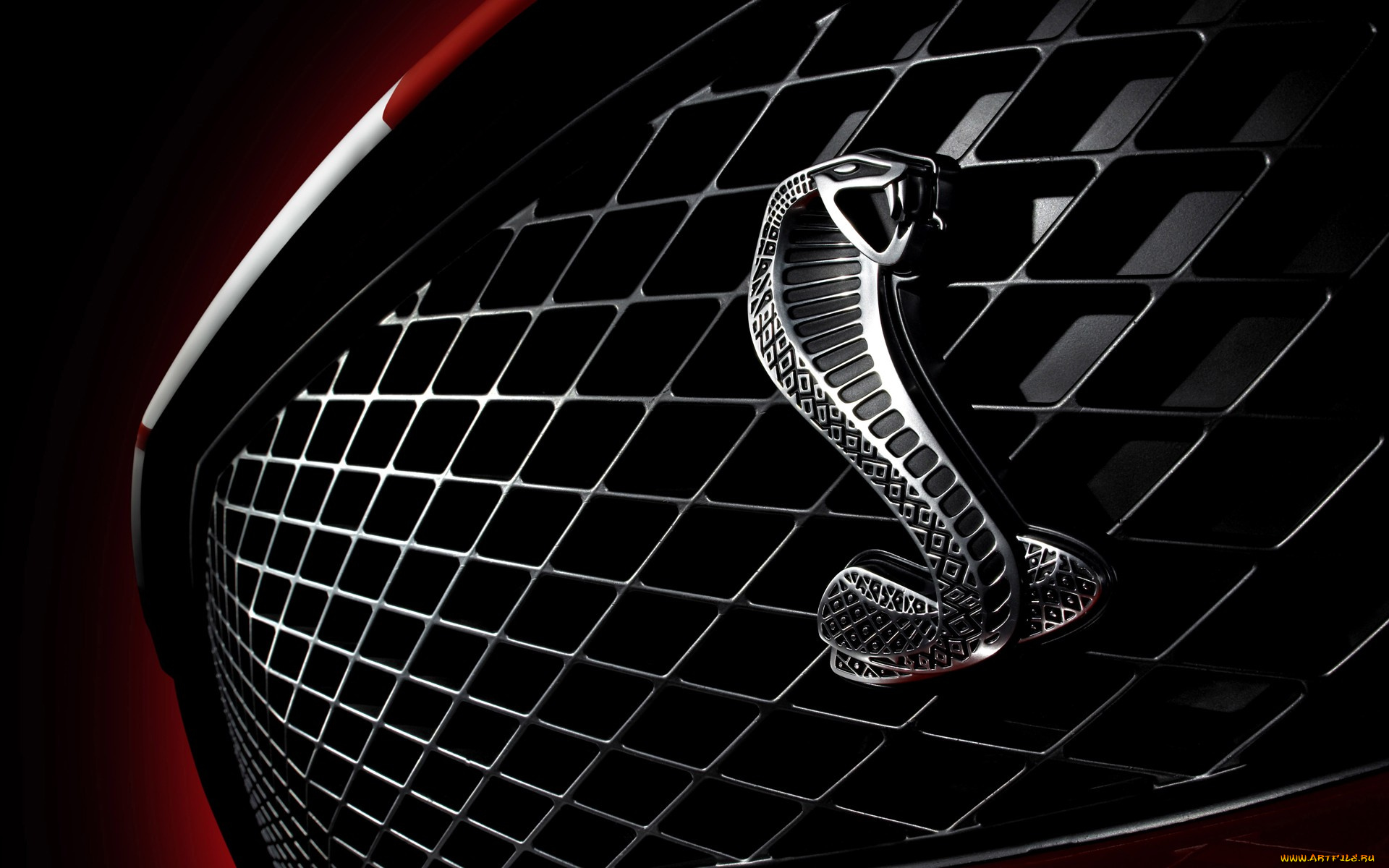 автомобили, фрагменты, автомобиля, эмблема, решетка, мустанг, форд, ford, mustang, shelby, gt500