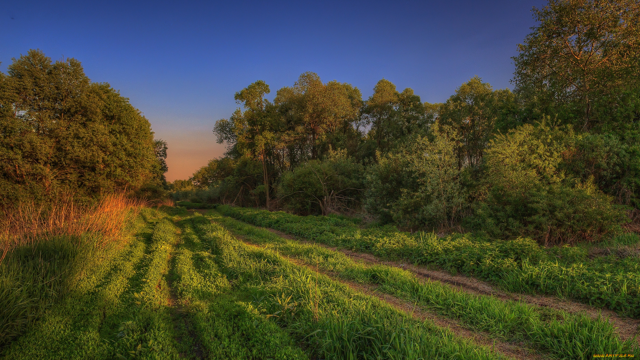 природа, дороги, простор