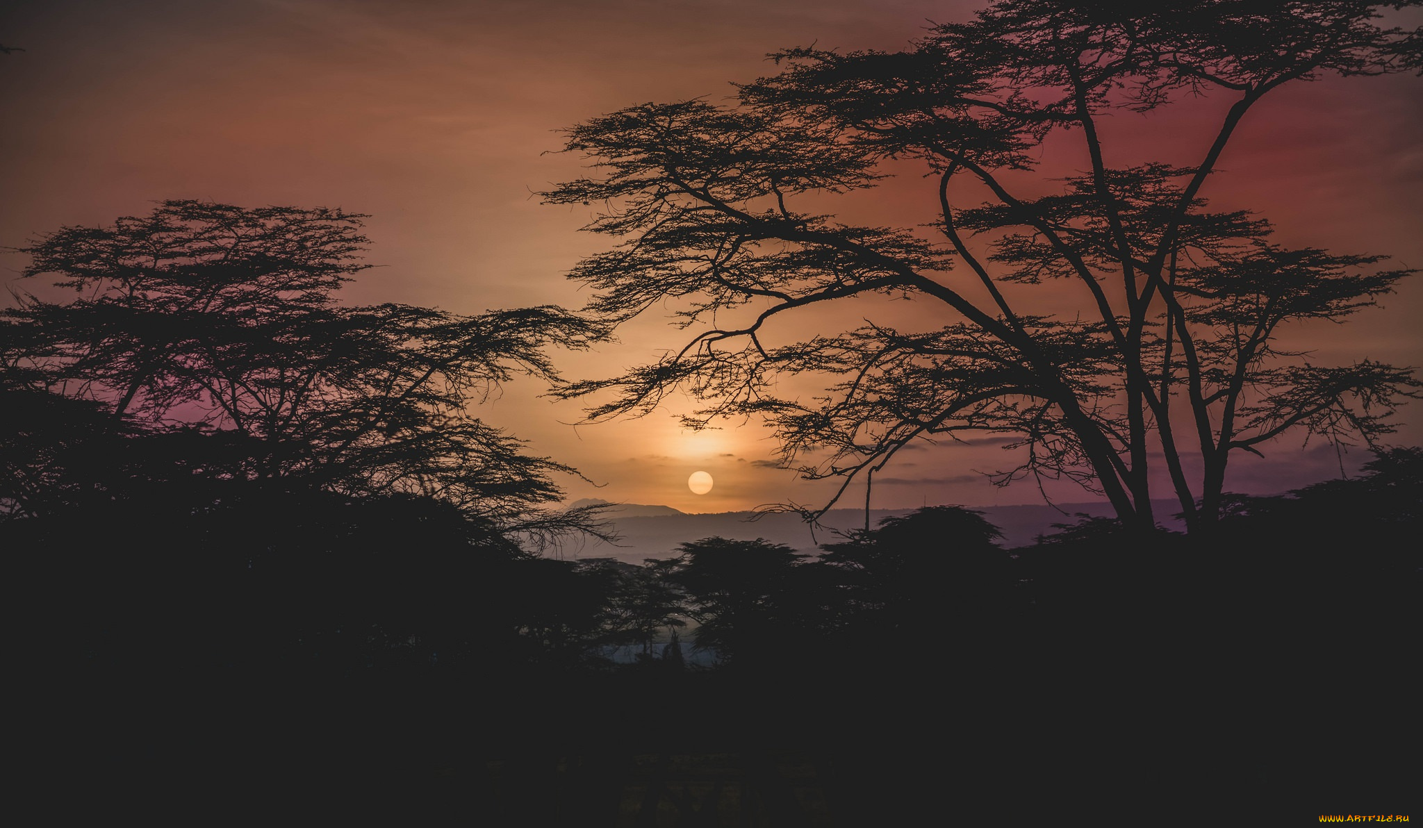 природа, восходы, закаты, простор