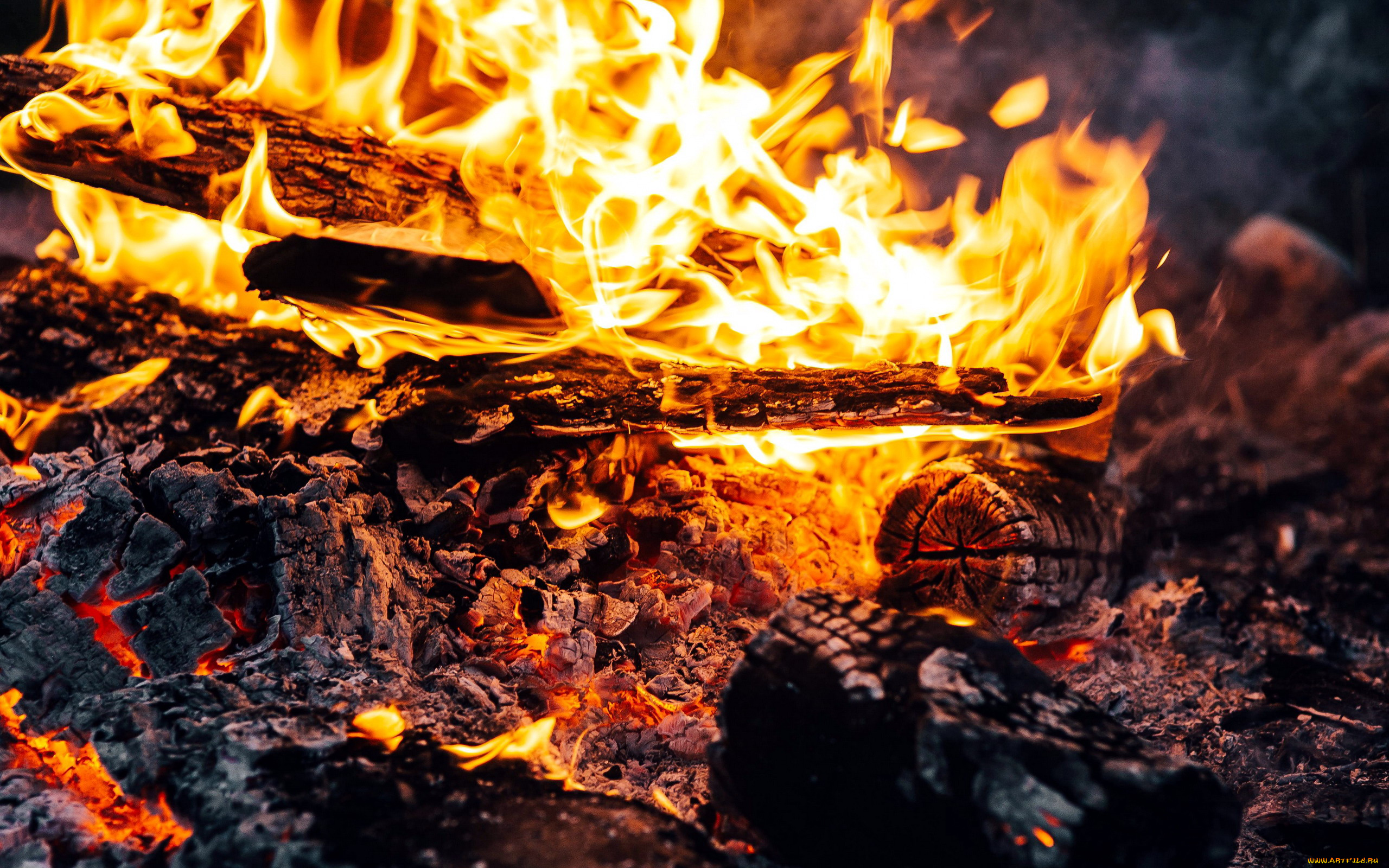 природа, огонь, костер, пламя