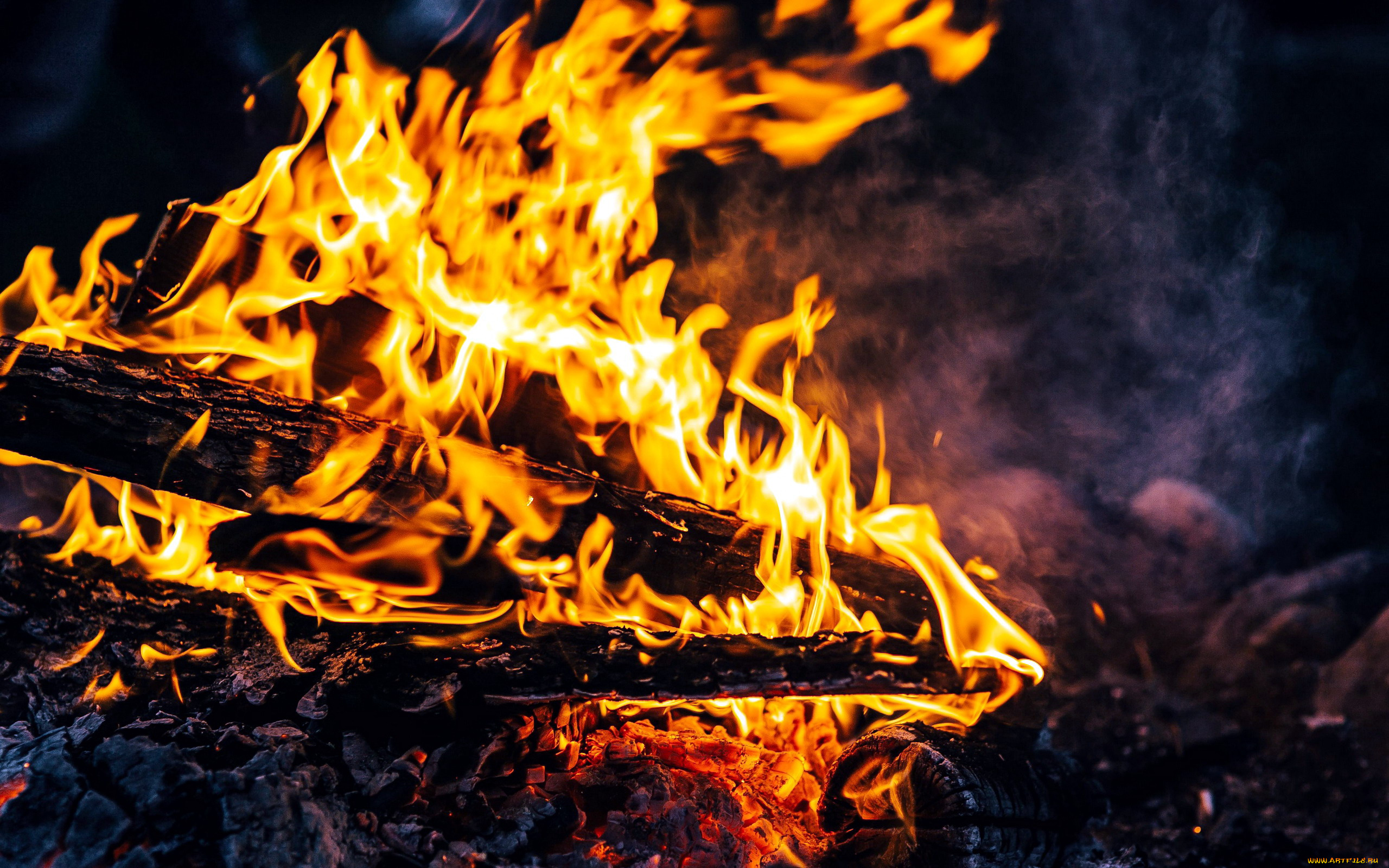 природа, огонь, пламя, костер