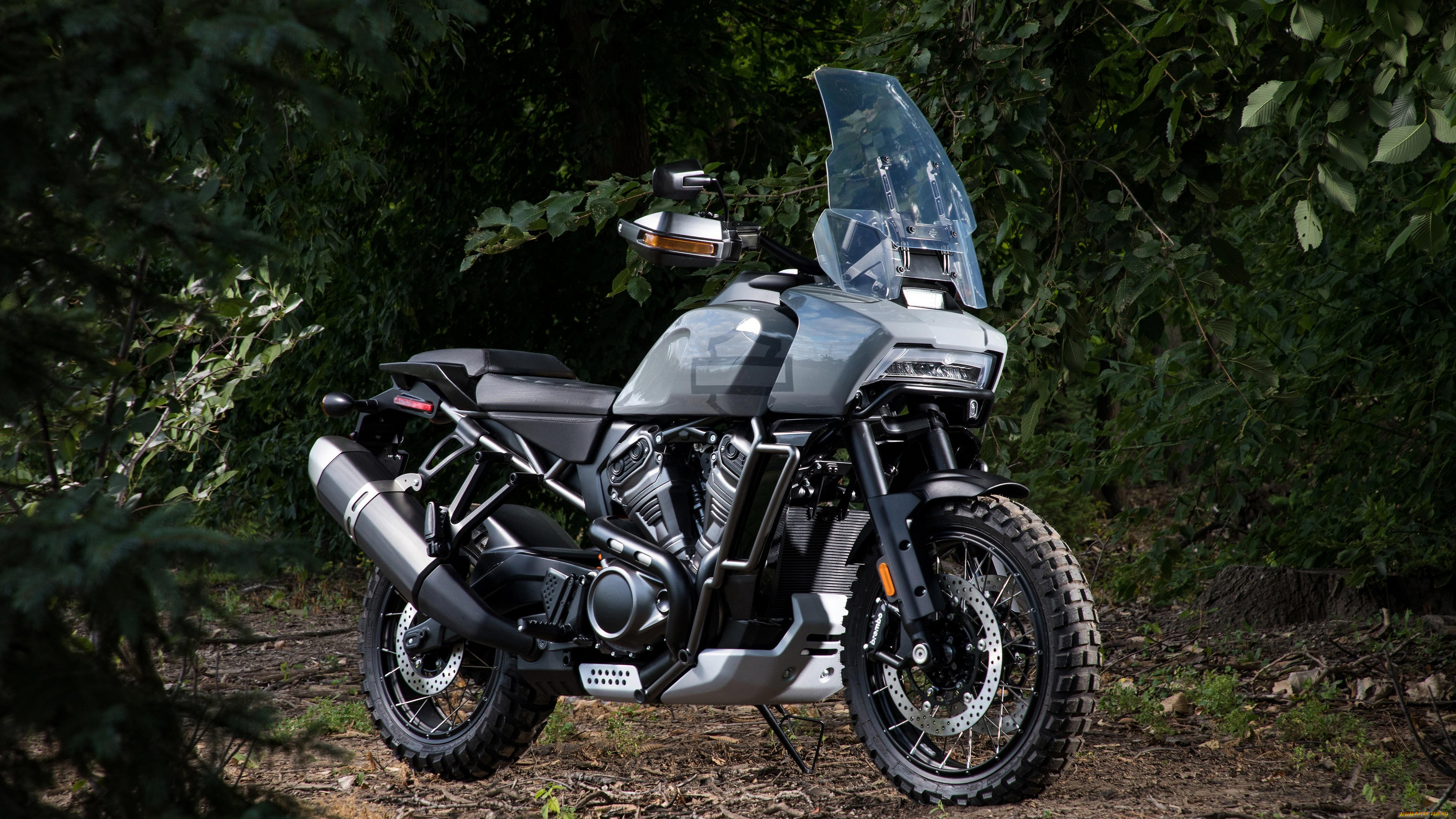 harley, davidson, pan, america, 2020, мотоциклы, harley-davidson, ветровое, стекло, pan, america, 2020, harley, davidson, motorcycles, деревья