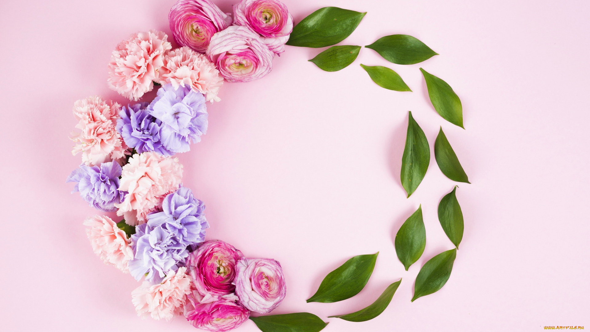 цветы, разные, вместе, гвоздика, ранункулюс, листья