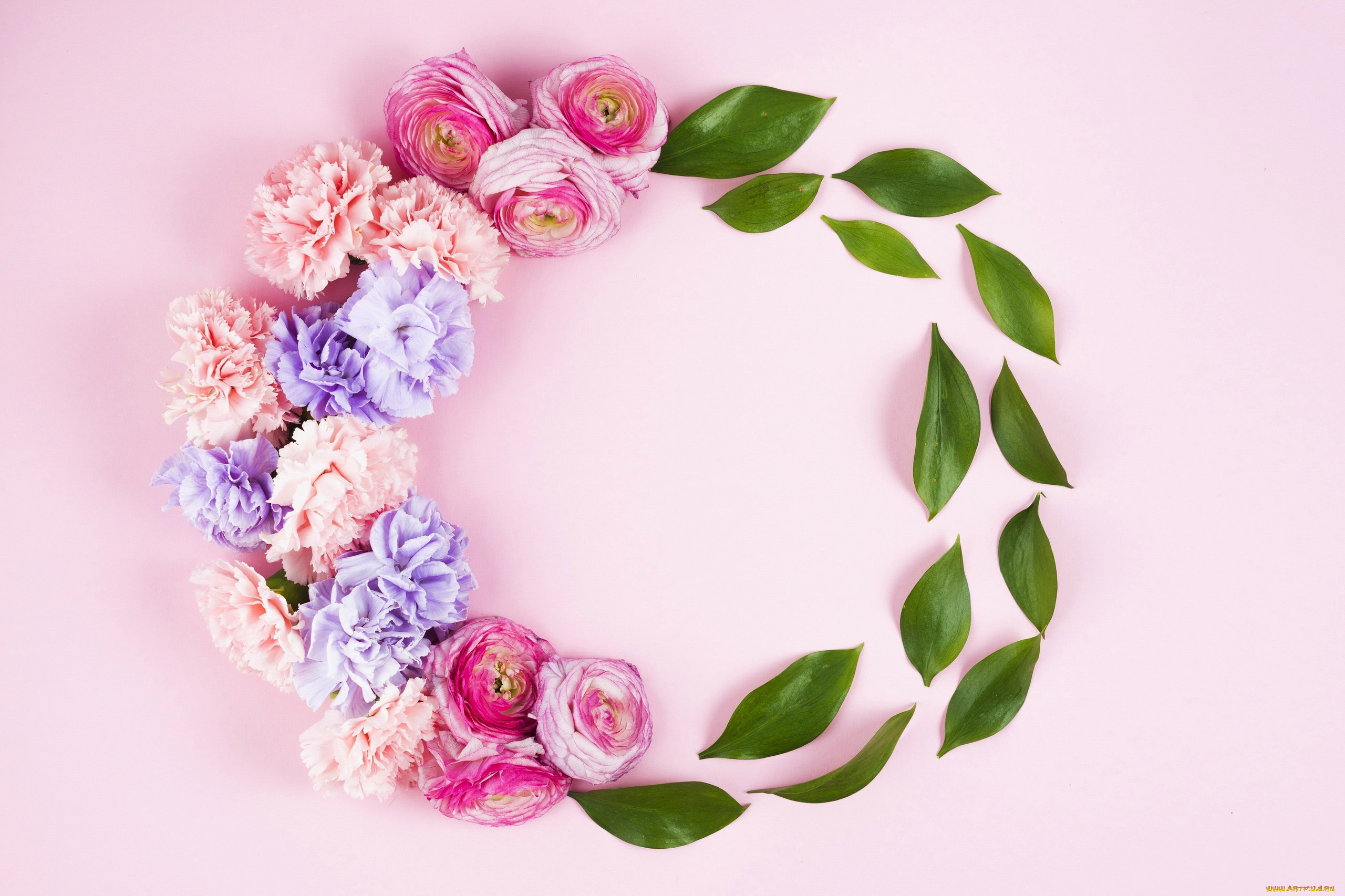 цветы, разные, вместе, гвоздика, ранункулюс, листья