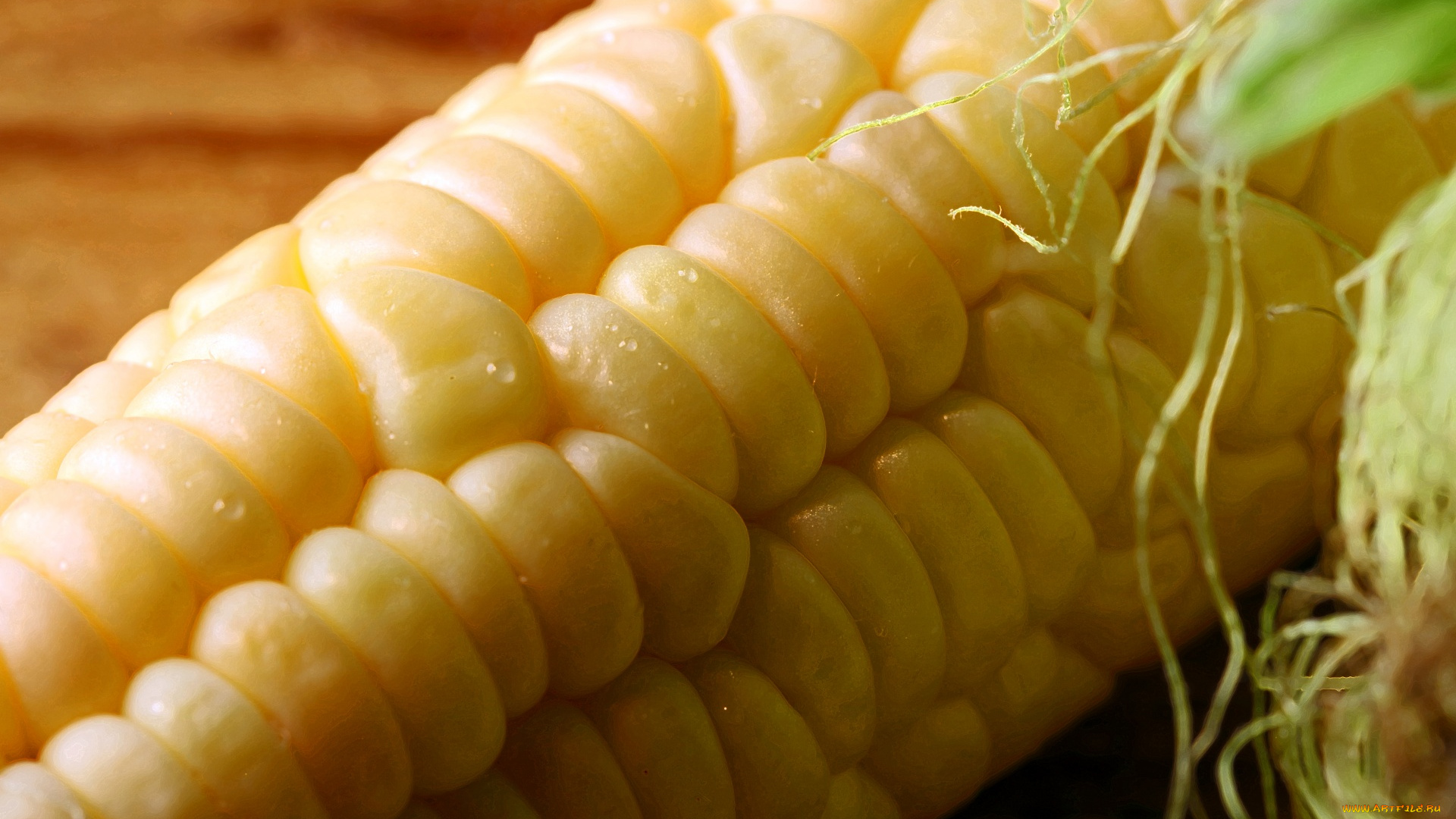 еда, кукуруза, початок, зерна, макро
