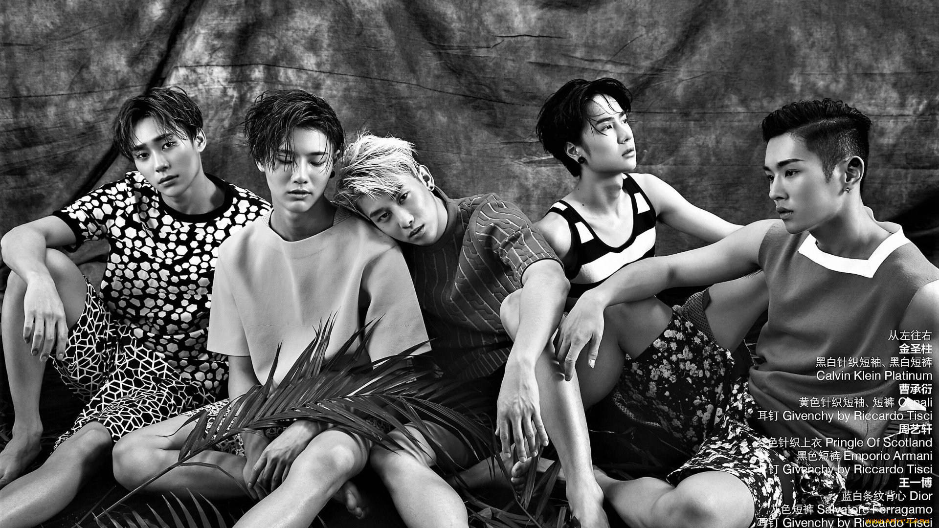 музыка, uniq, парни, группа, пальмовые, листья