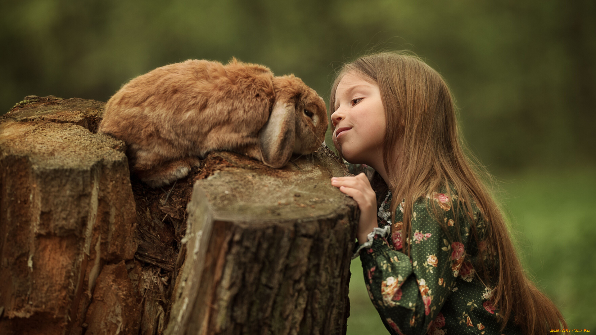 разное, дети, кролик, пень, девочка, рыжая