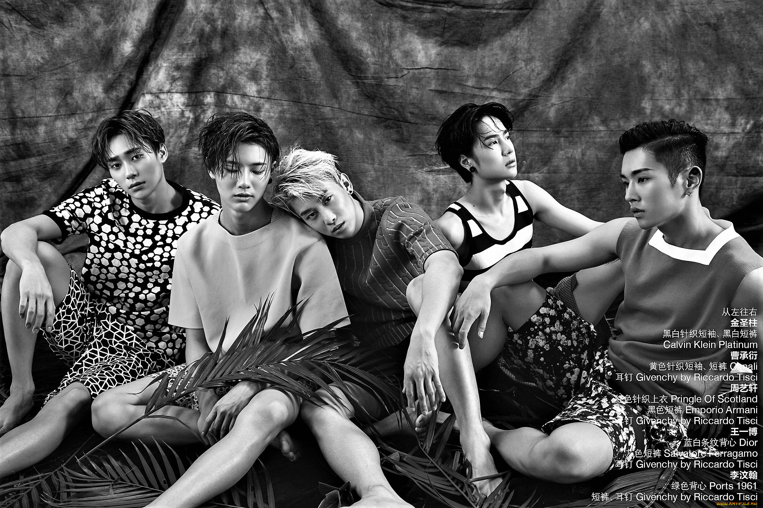 музыка, uniq, парни, группа, пальмовые, листья