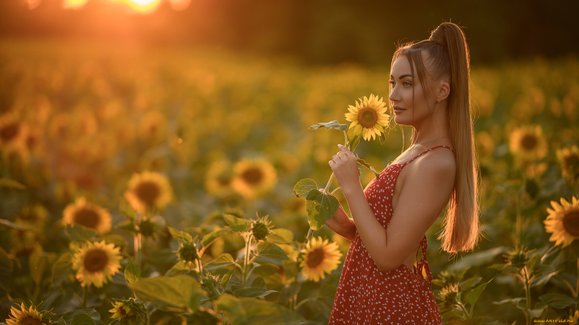 сексуальная, девушка, девушки, -, брюнетки, , шатенки, девушка, женщина, шатенка, темноволосая, сексуальная, модель, звезда, позирует, разная, обувь, верхняя, стильная, одежда, нижнее, эротическое, бельё, трусы, лифчик, колготки, чулки, аксессуары, макияж, и, множество, элементов, на, фотографии