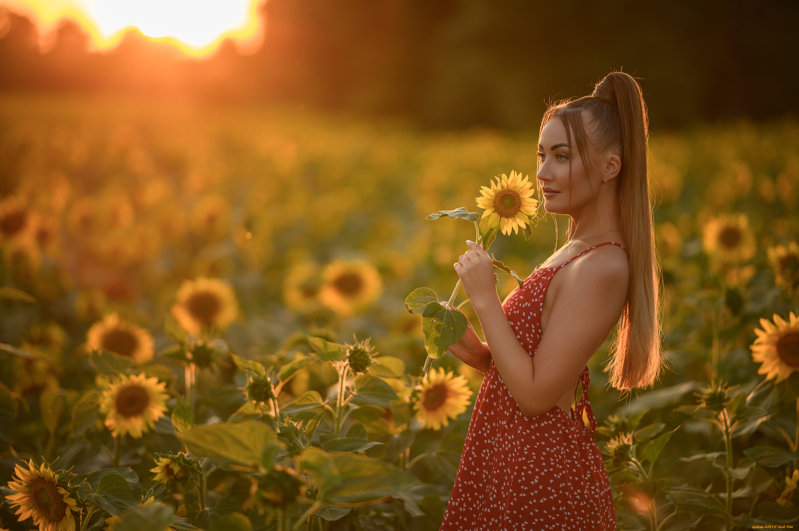 сексуальная, девушка, девушки, -, брюнетки, , шатенки, девушка, женщина, шатенка, темноволосая, сексуальная, модель, звезда, позирует, разная, обувь, верхняя, стильная, одежда, нижнее, эротическое, бельё, трусы, лифчик, колготки, чулки, аксессуары, макияж, и, множество, элементов, на, фотографии