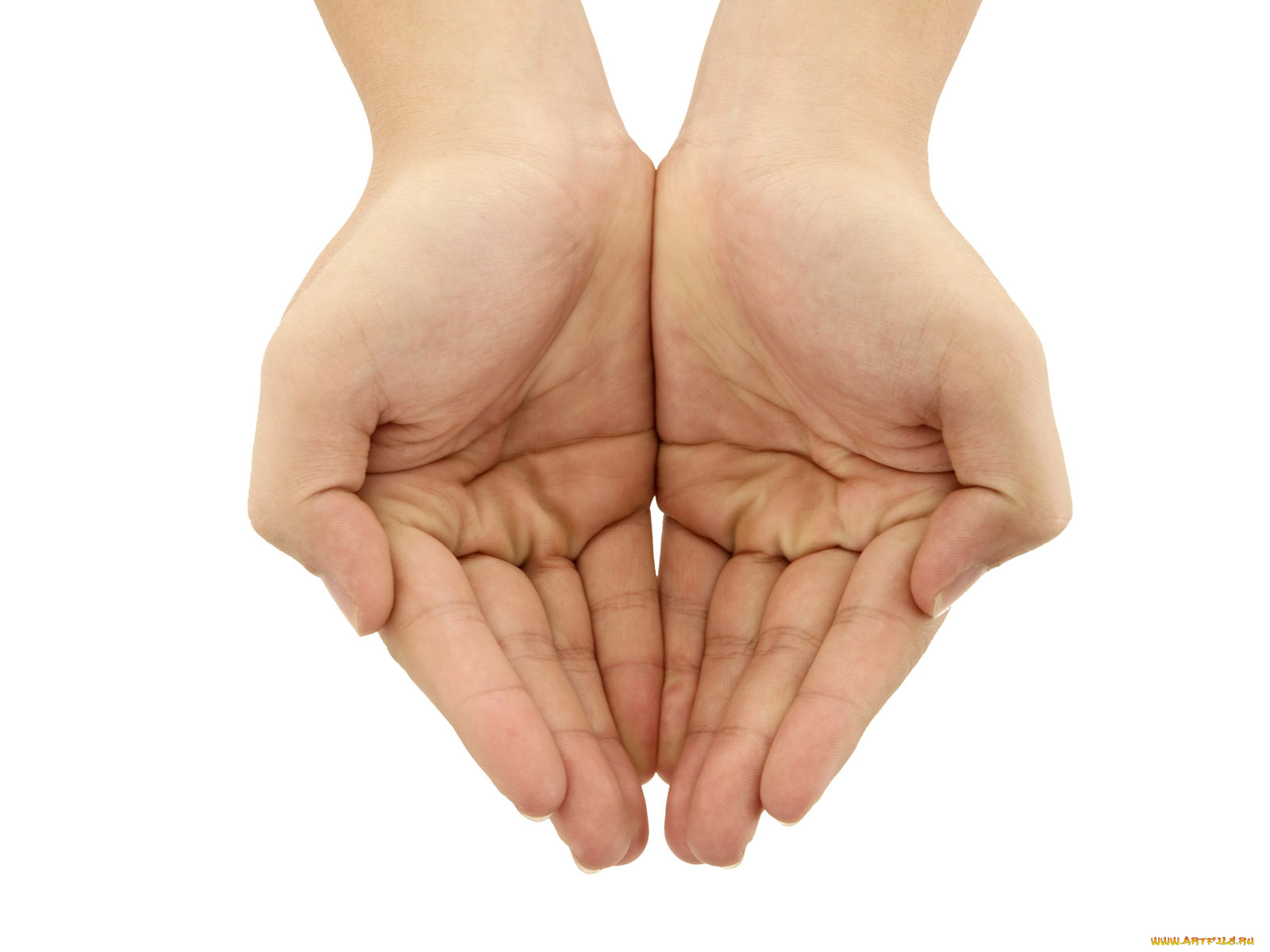 разное, руки