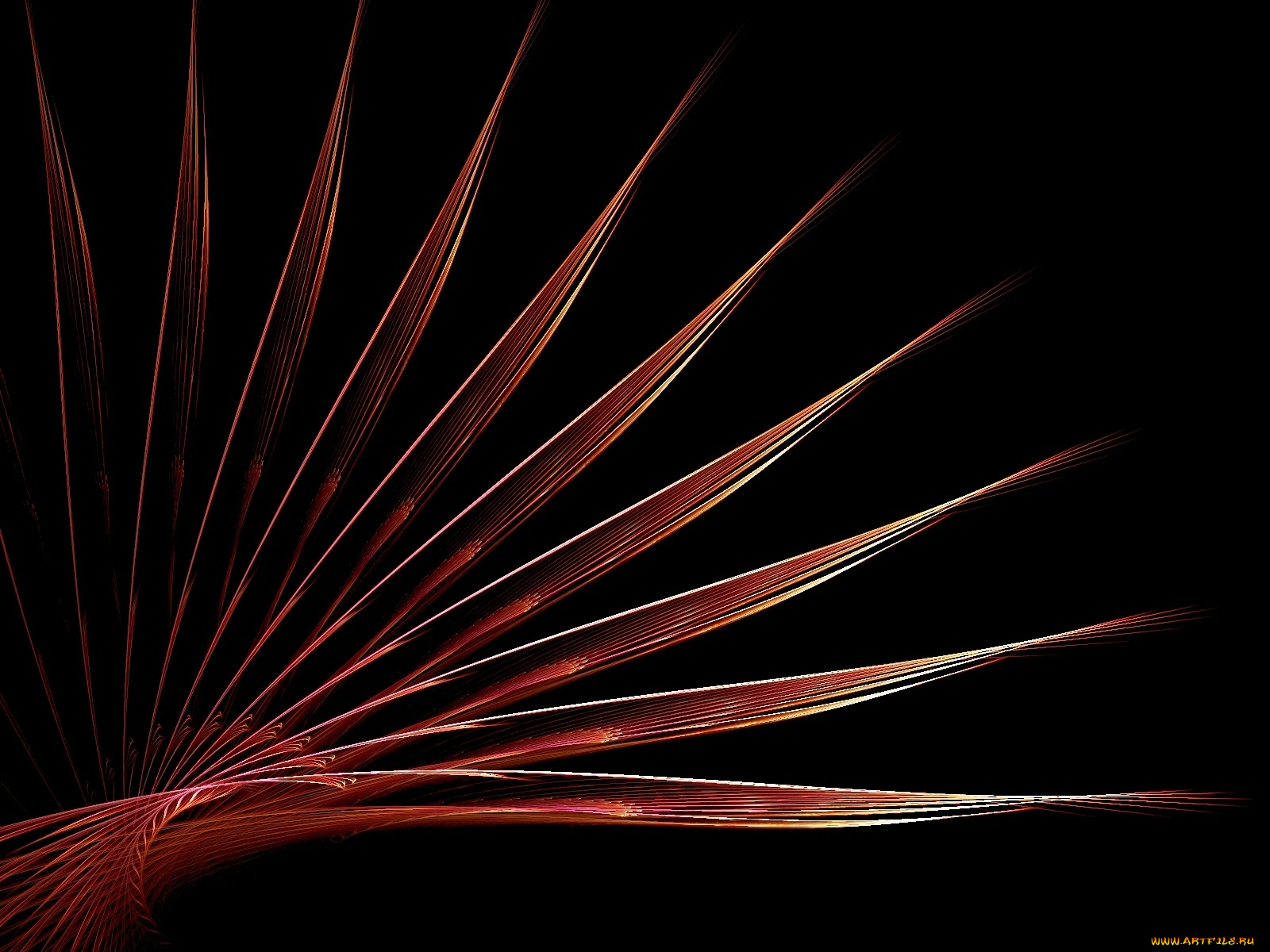 3д, графика, fractal, фракталы, абстракция