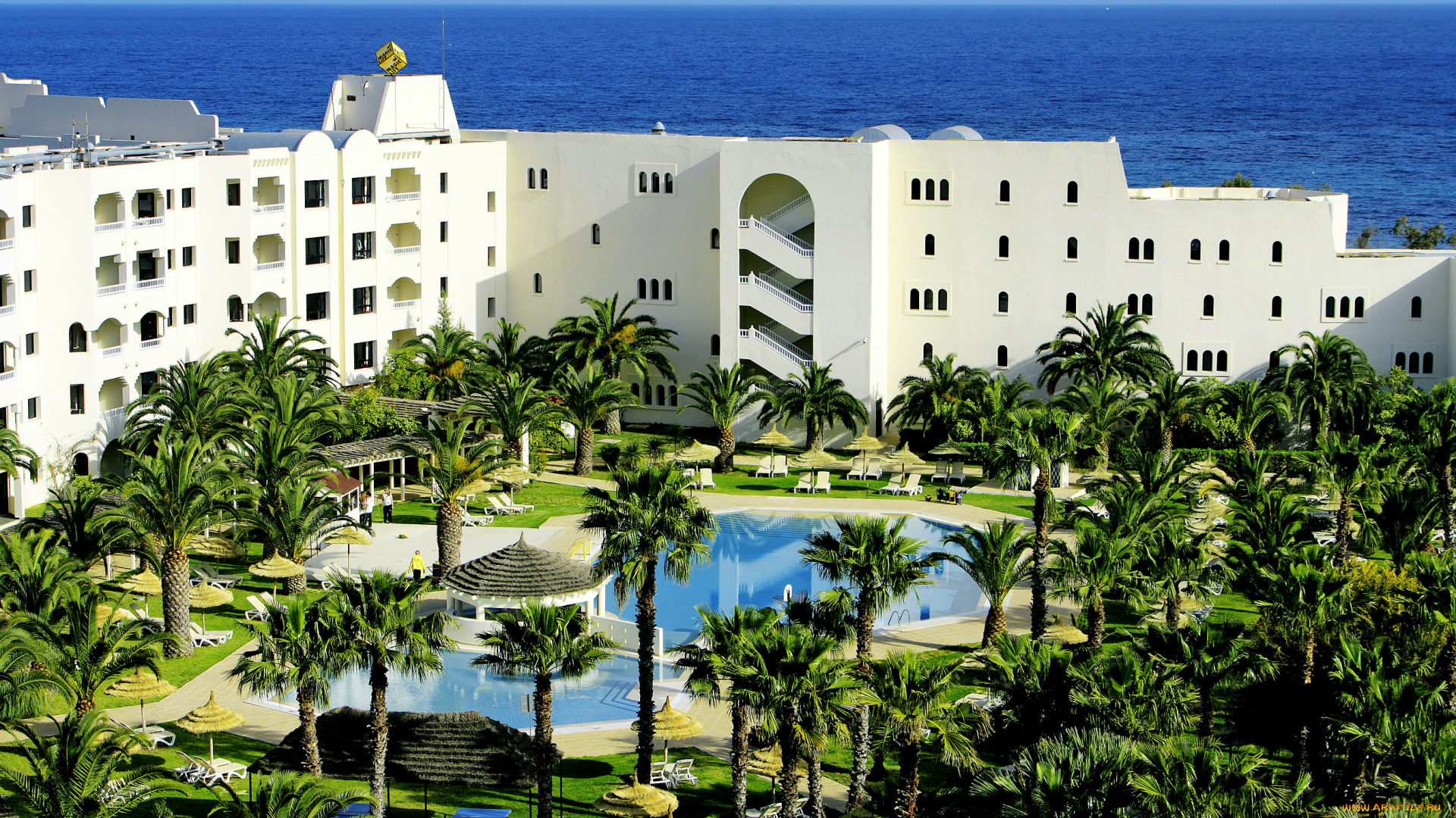 города, здания, дома, тунис, пальма, бассейн