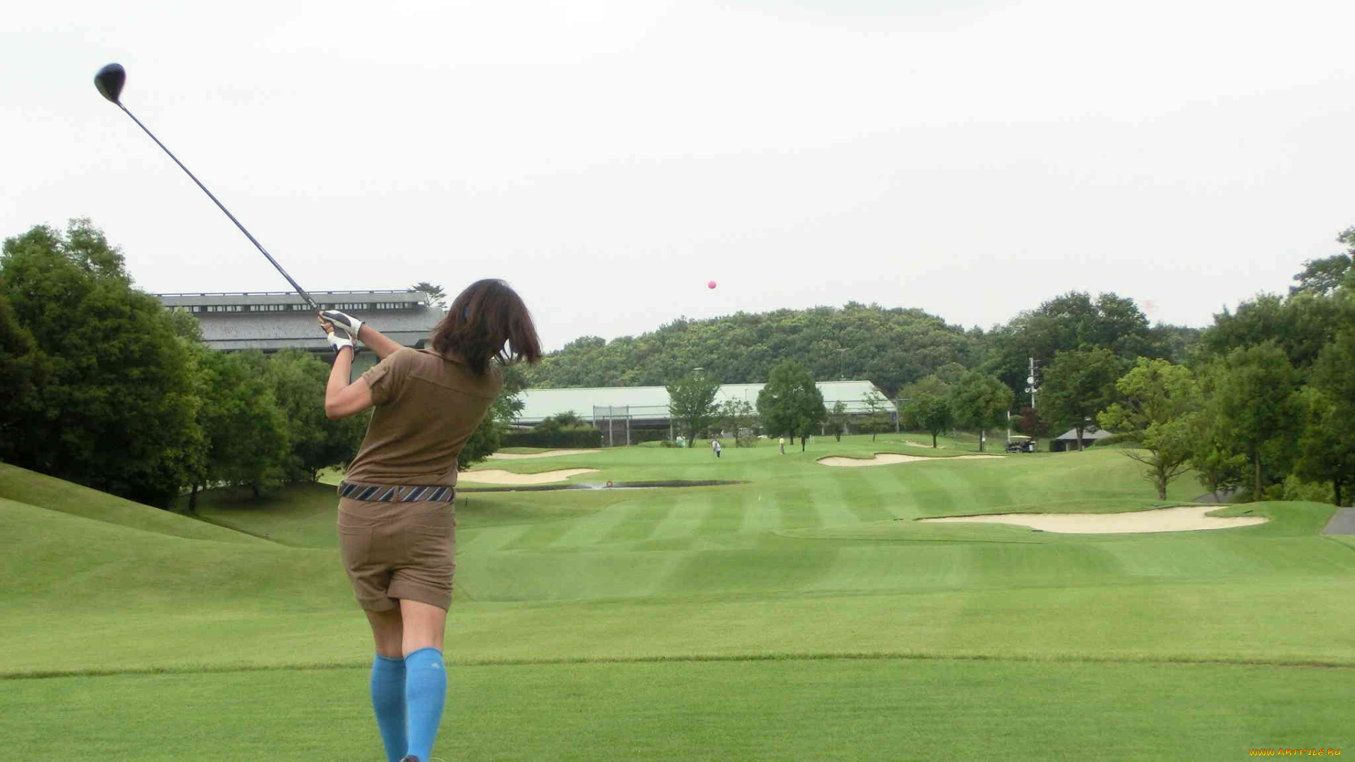 спорт, гольф