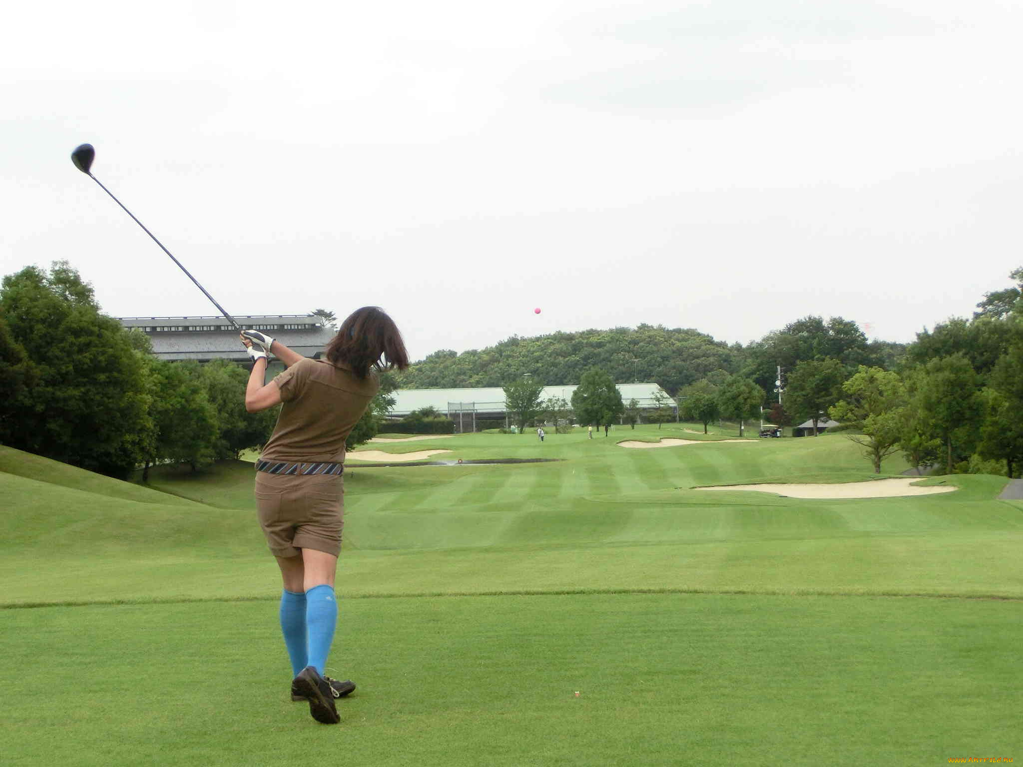 спорт, гольф