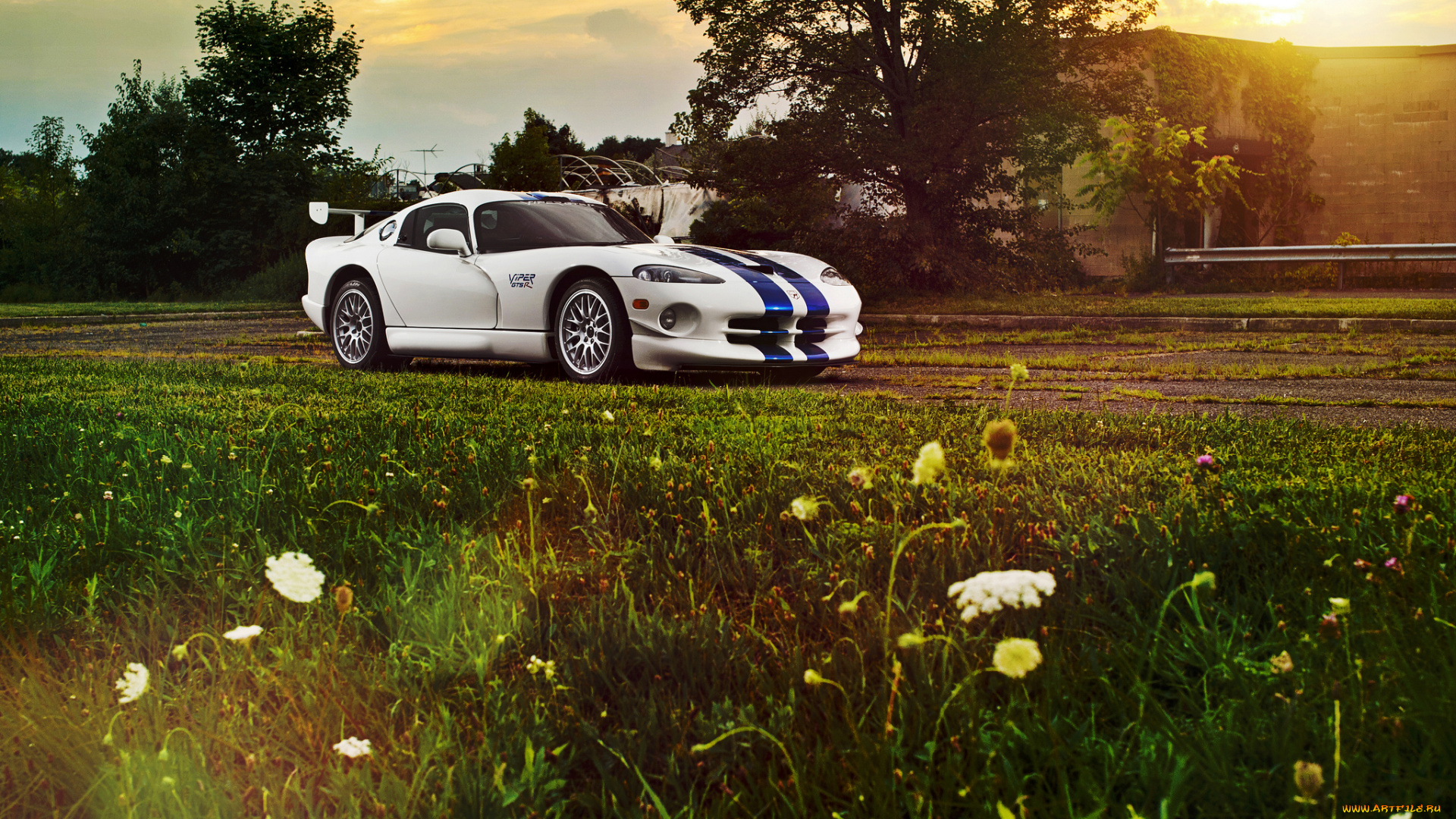 автомобили, dodge, viper