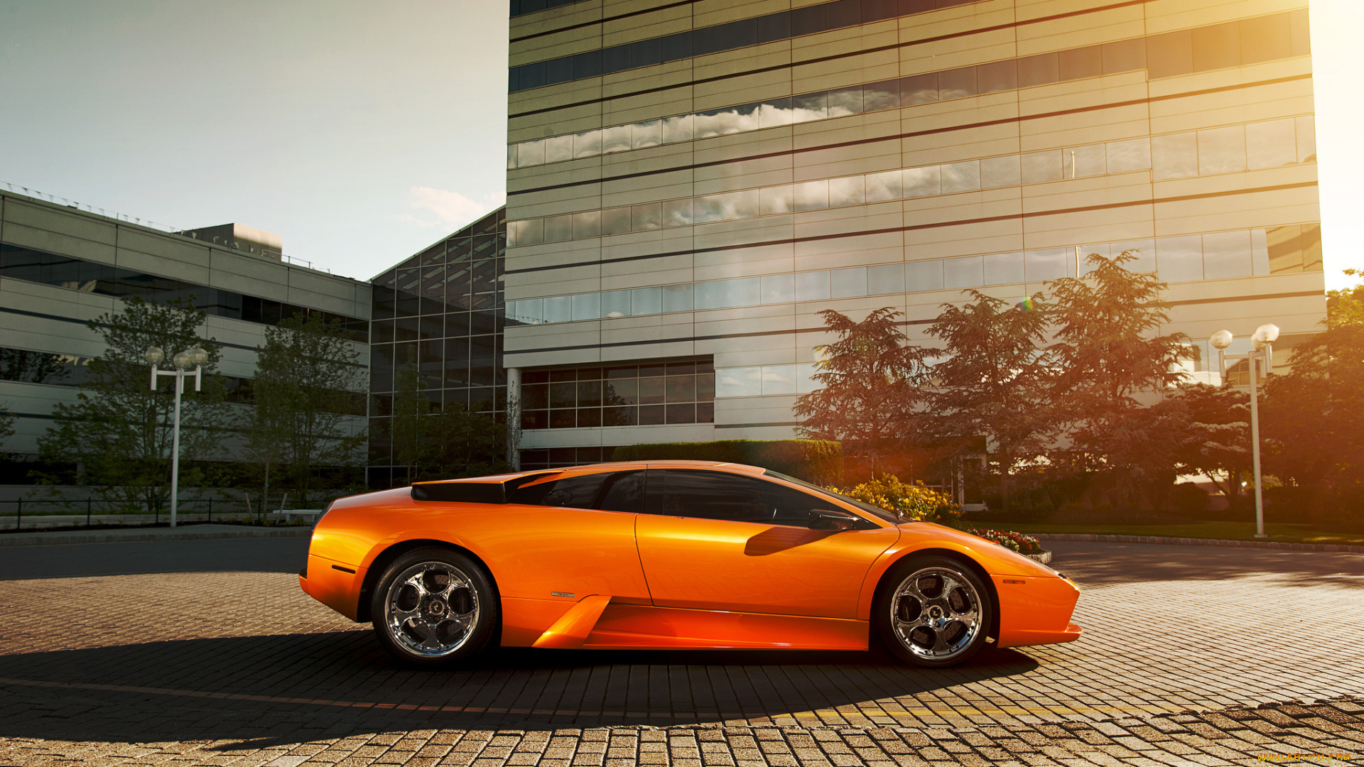 автомобили, lamborghini, murcielago