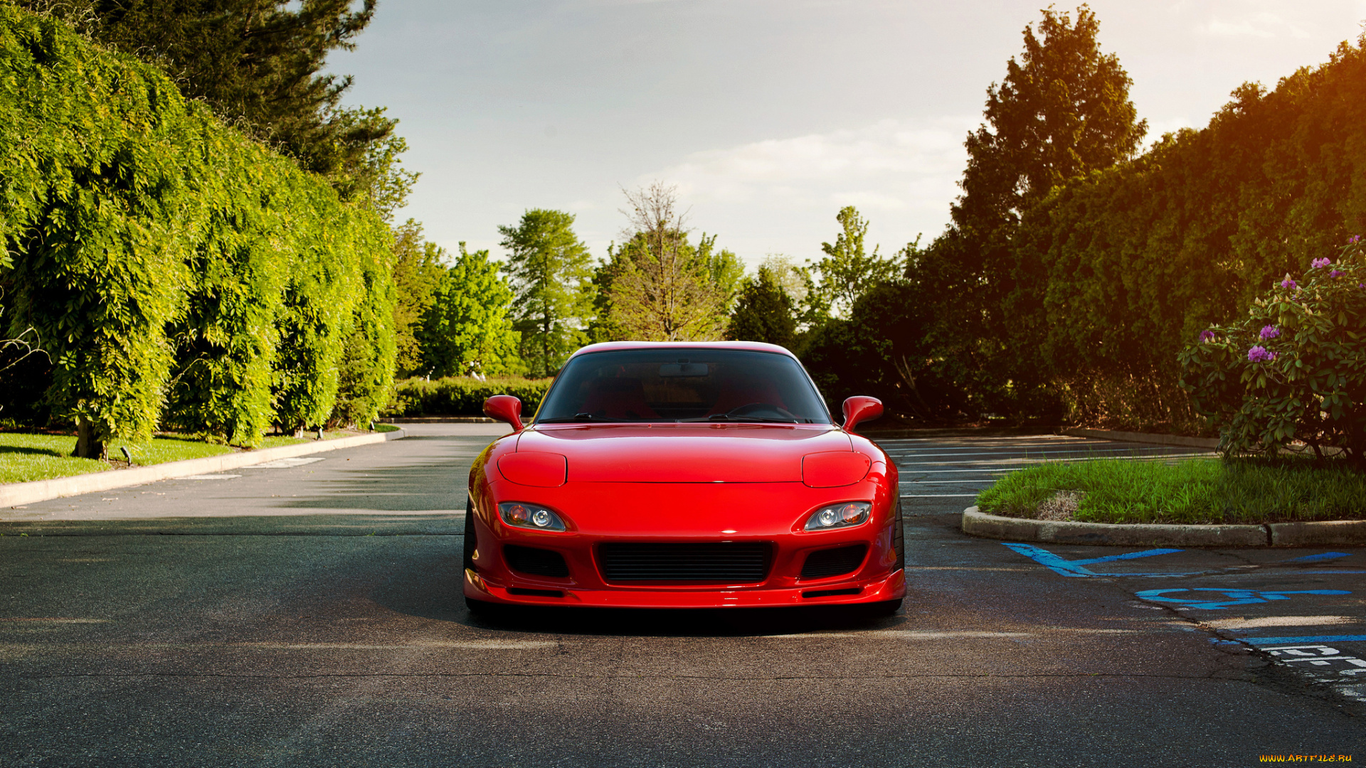 автомобили, mazda