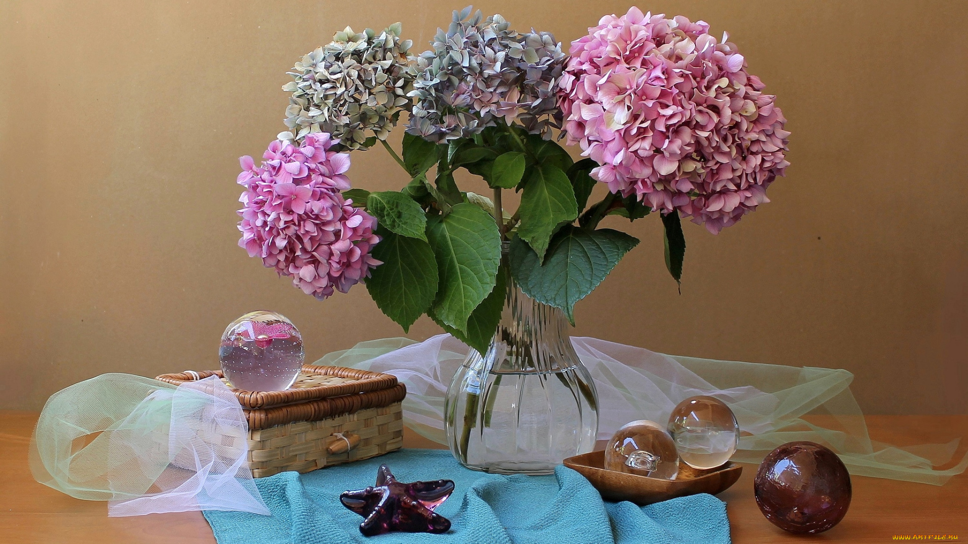 цветы, гортензия, шары, стекло, букет