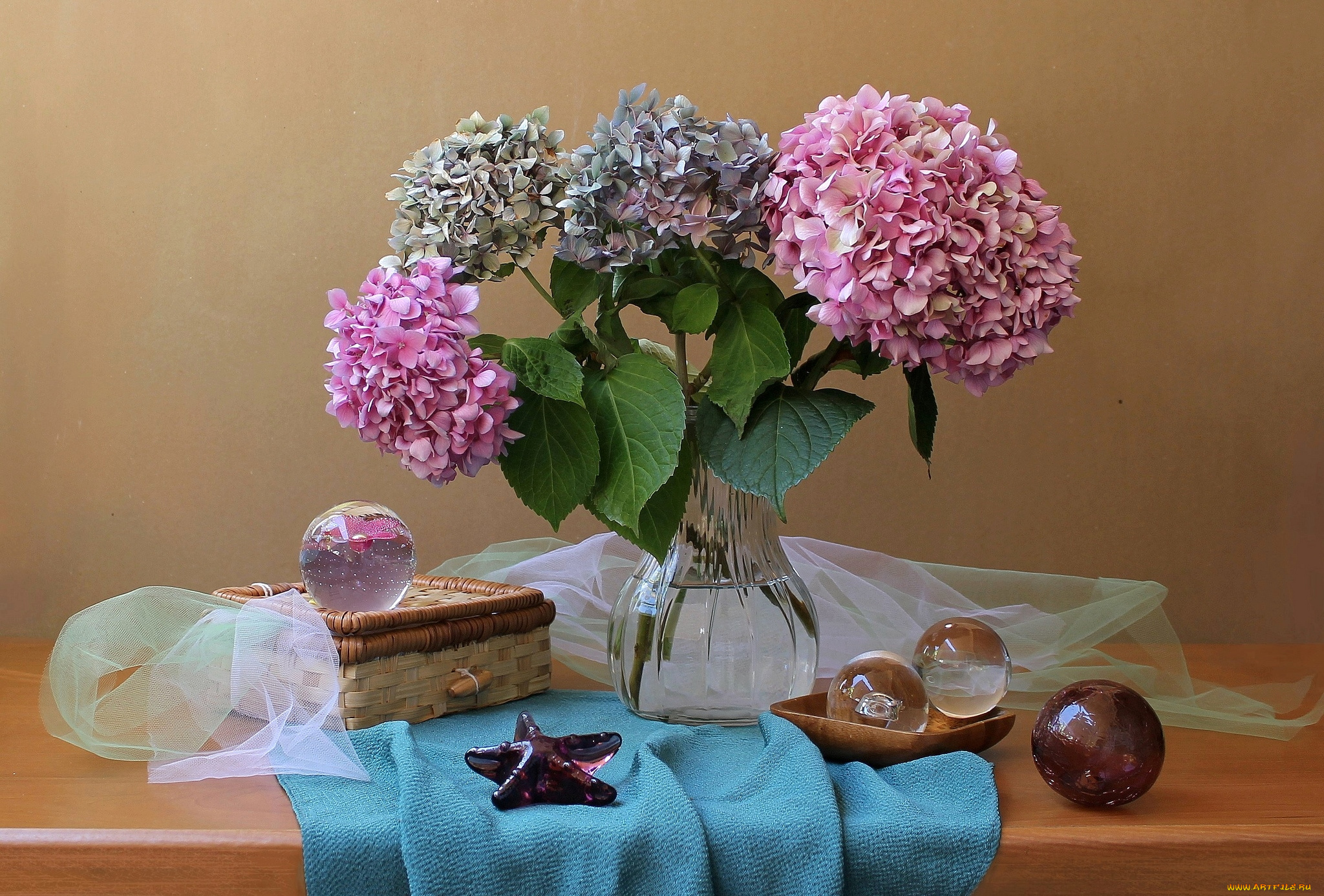 цветы, гортензия, шары, стекло, букет