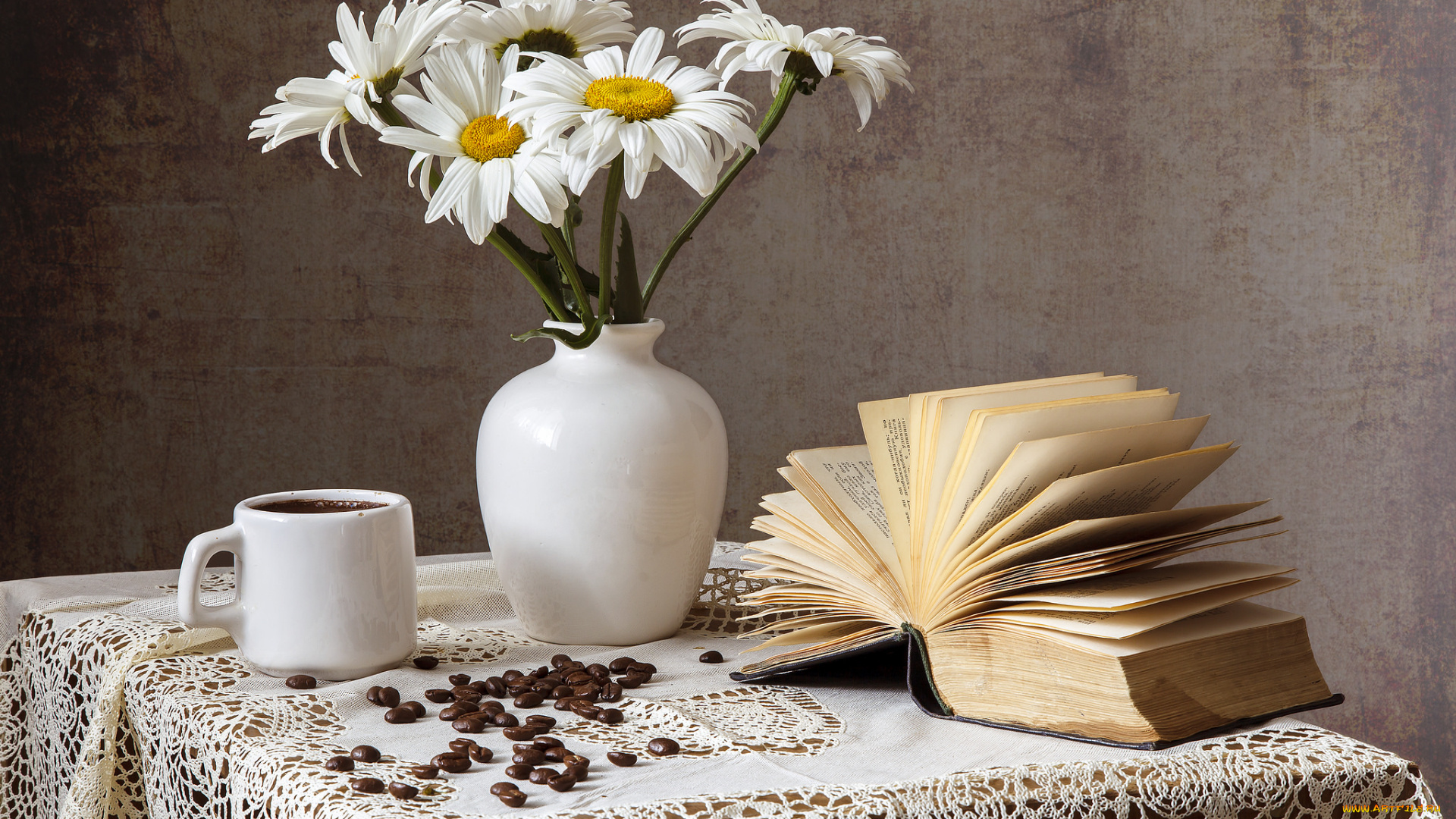 цветы, ромашки, ваза, книга