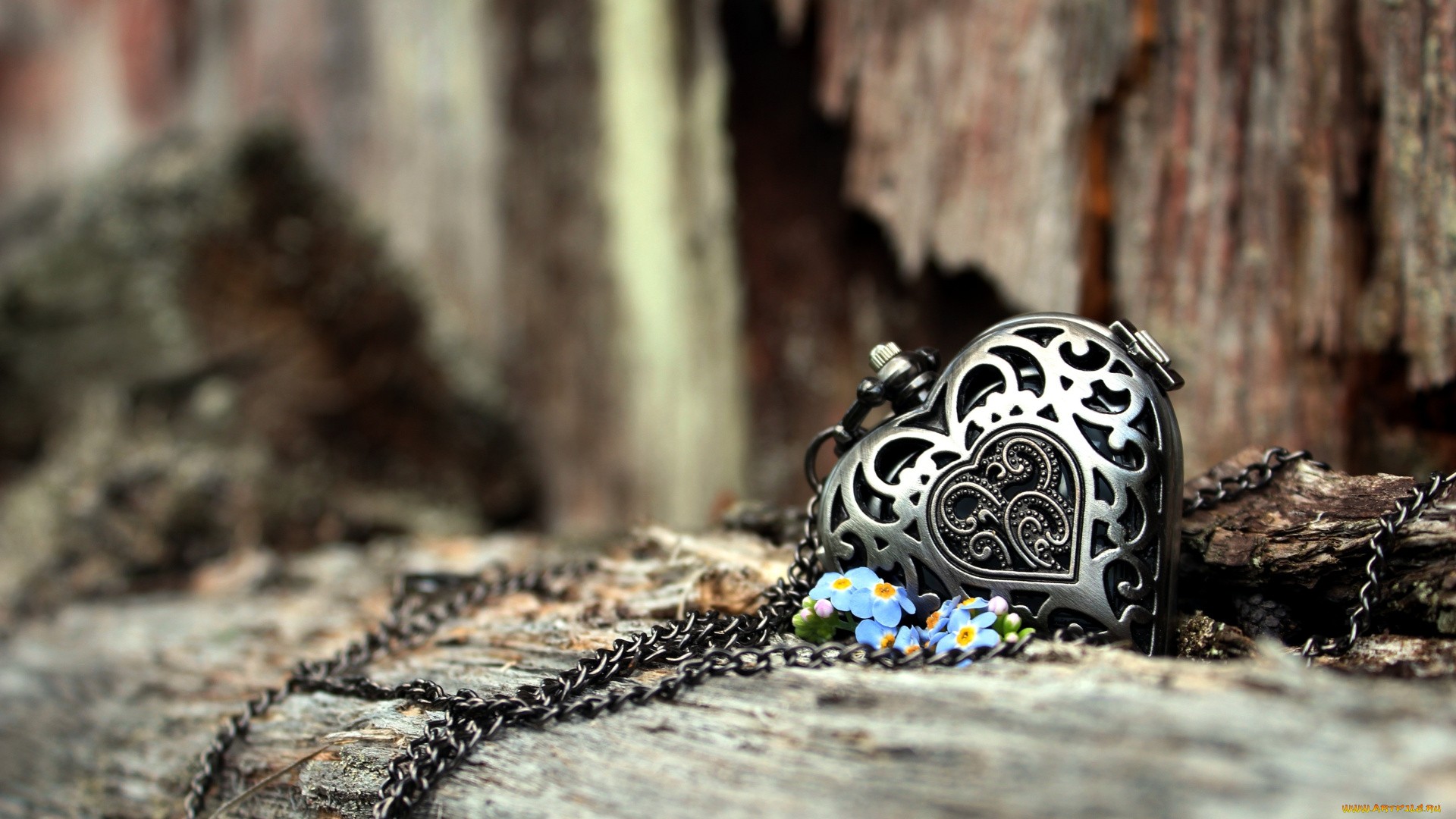 разное, украшения, , аксессуары, , веера, сердце, любовь, цветы, лепестки