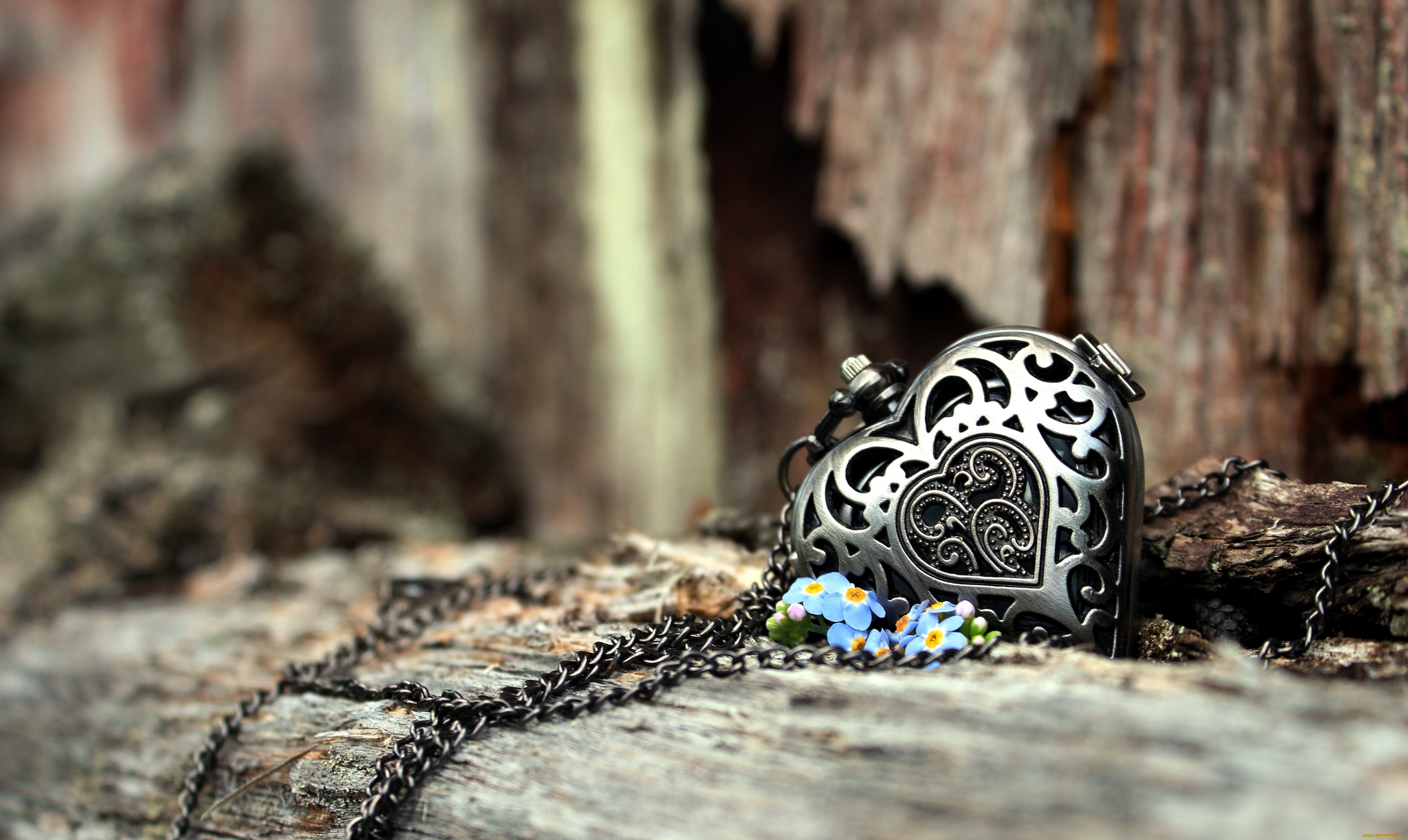 разное, украшения, , аксессуары, , веера, сердце, любовь, цветы, лепестки