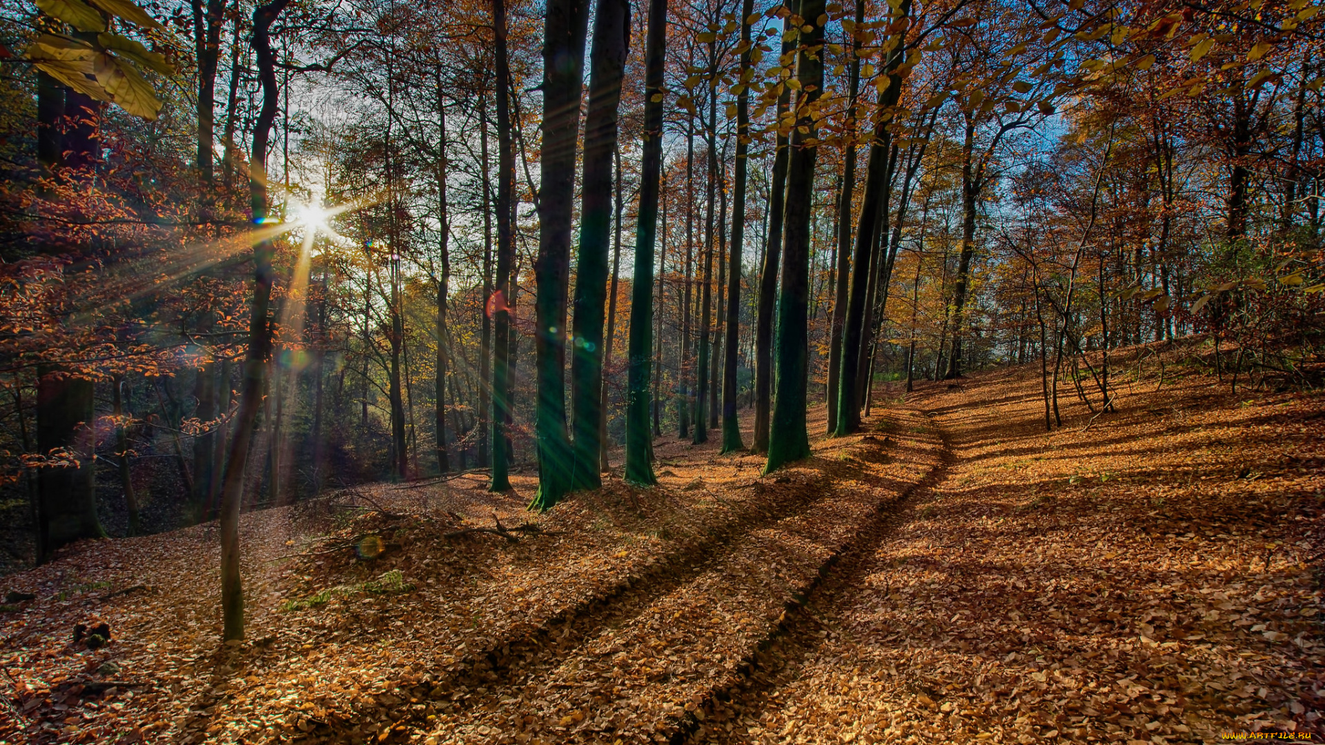 природа, дороги, тракт