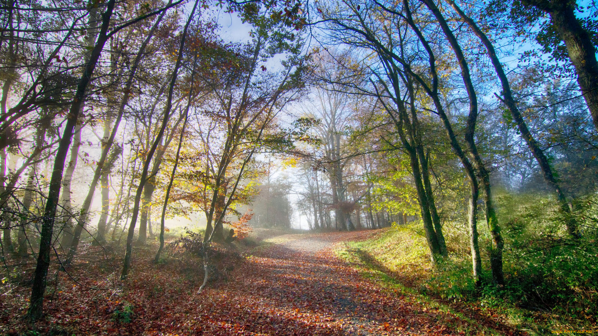 природа, дороги, тракт