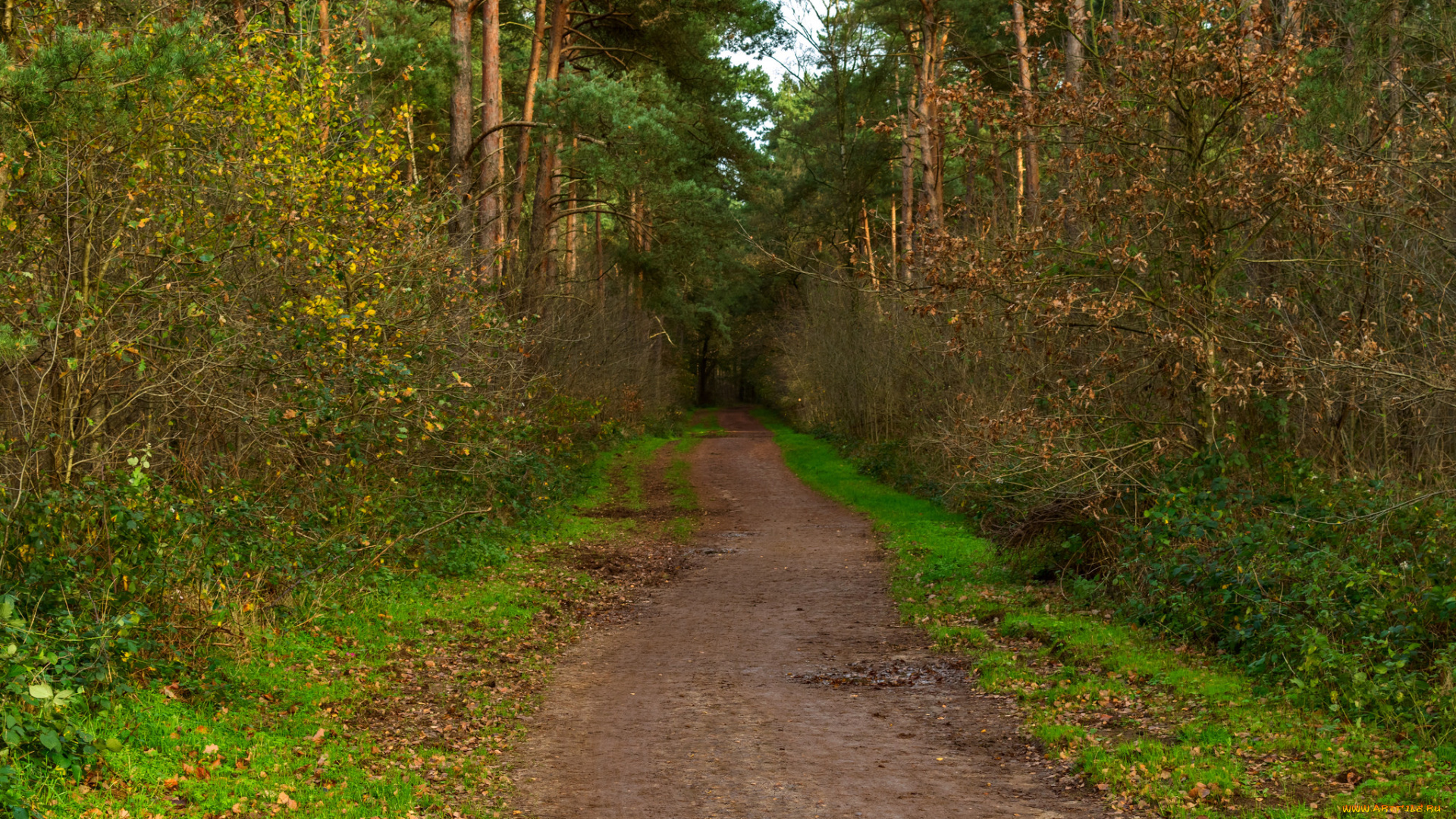 природа, дороги, тракт