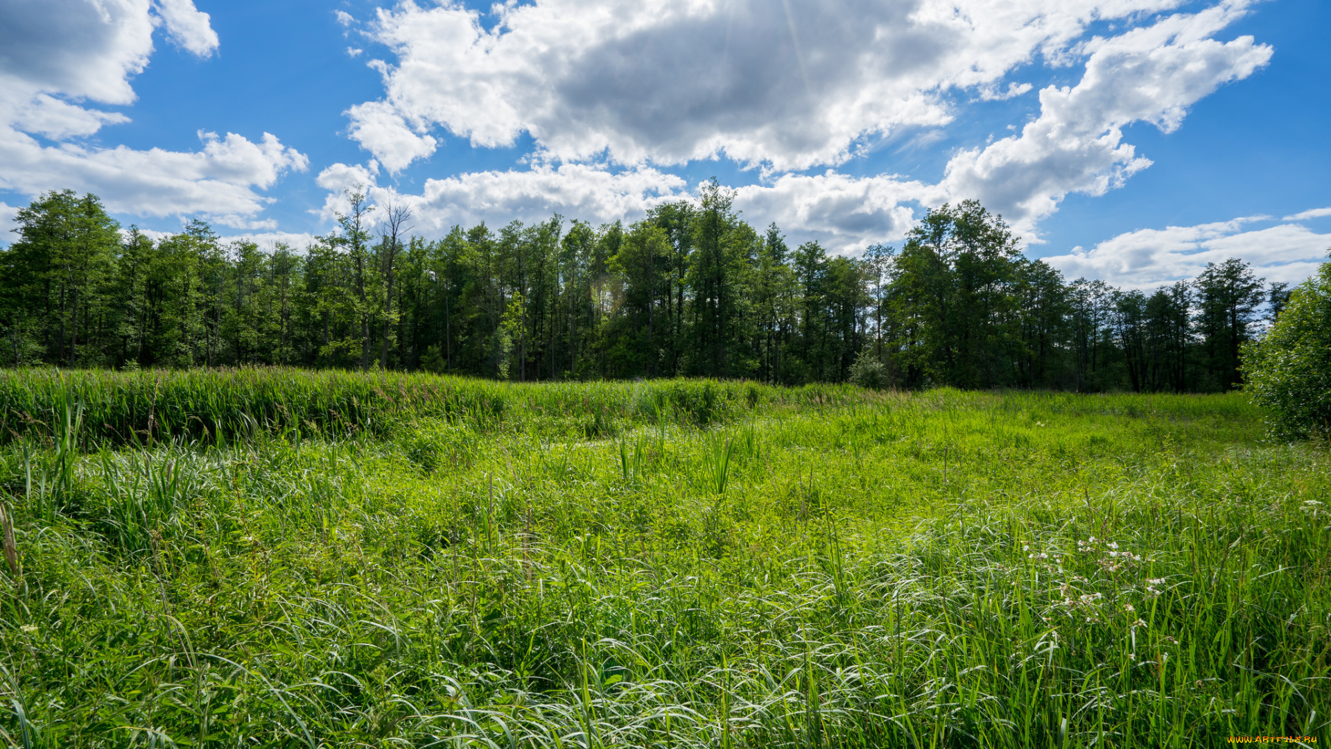 природа, пейзажи, простор