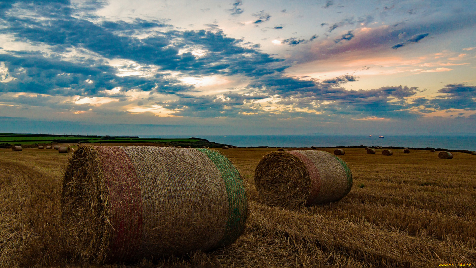 природа, поля, небо, тюки, поле