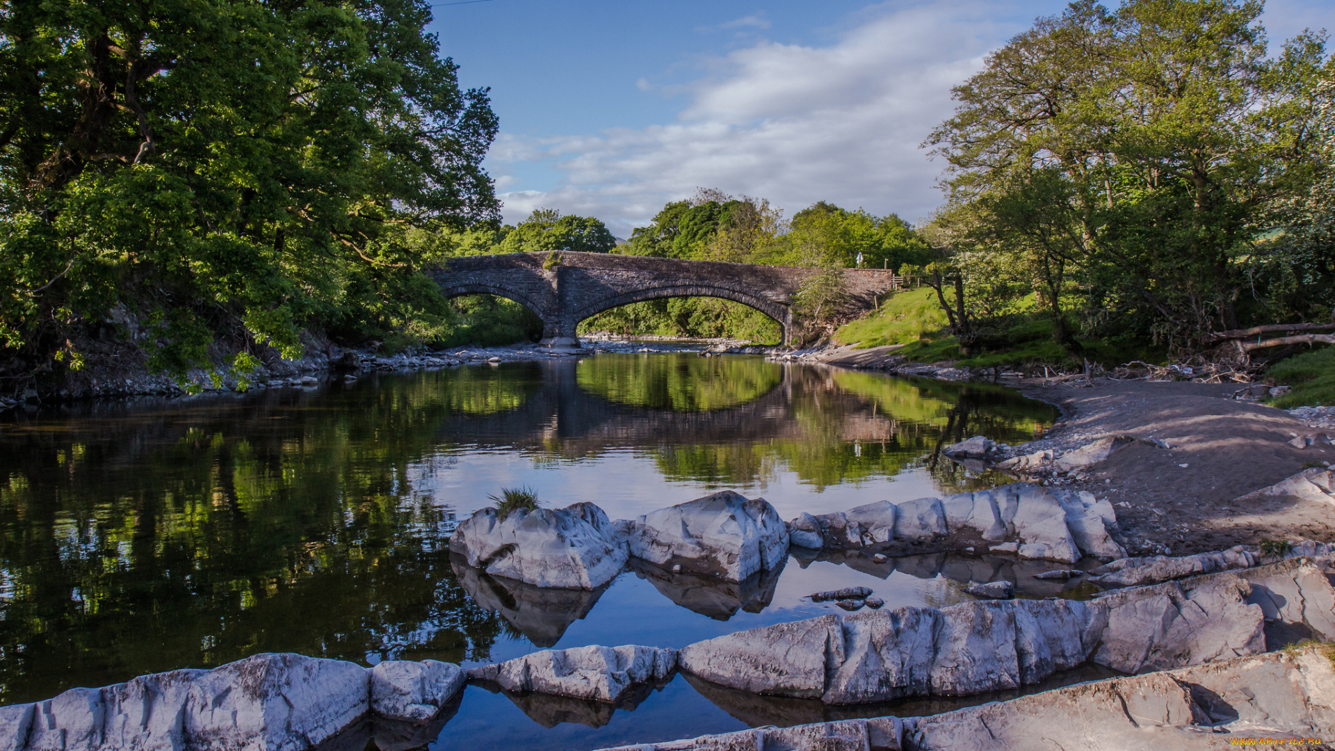 природа, реки, озера, лес, река