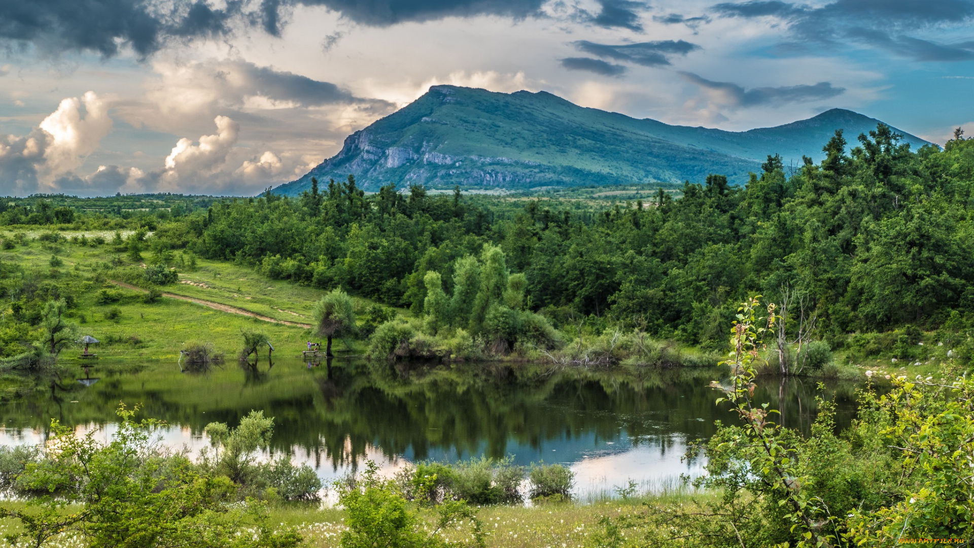 природа, реки, озера, река, лес