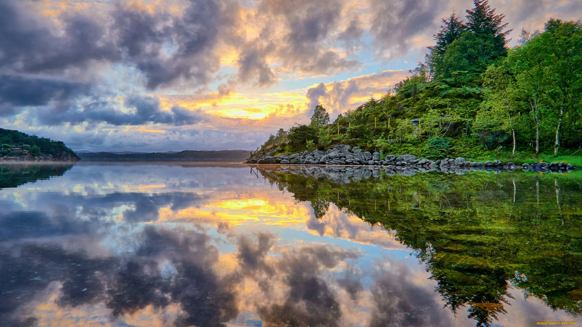 природа, реки, озера, река, лес