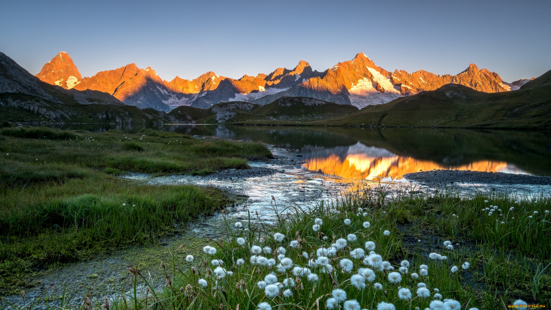 природа, реки, озера, река, лес