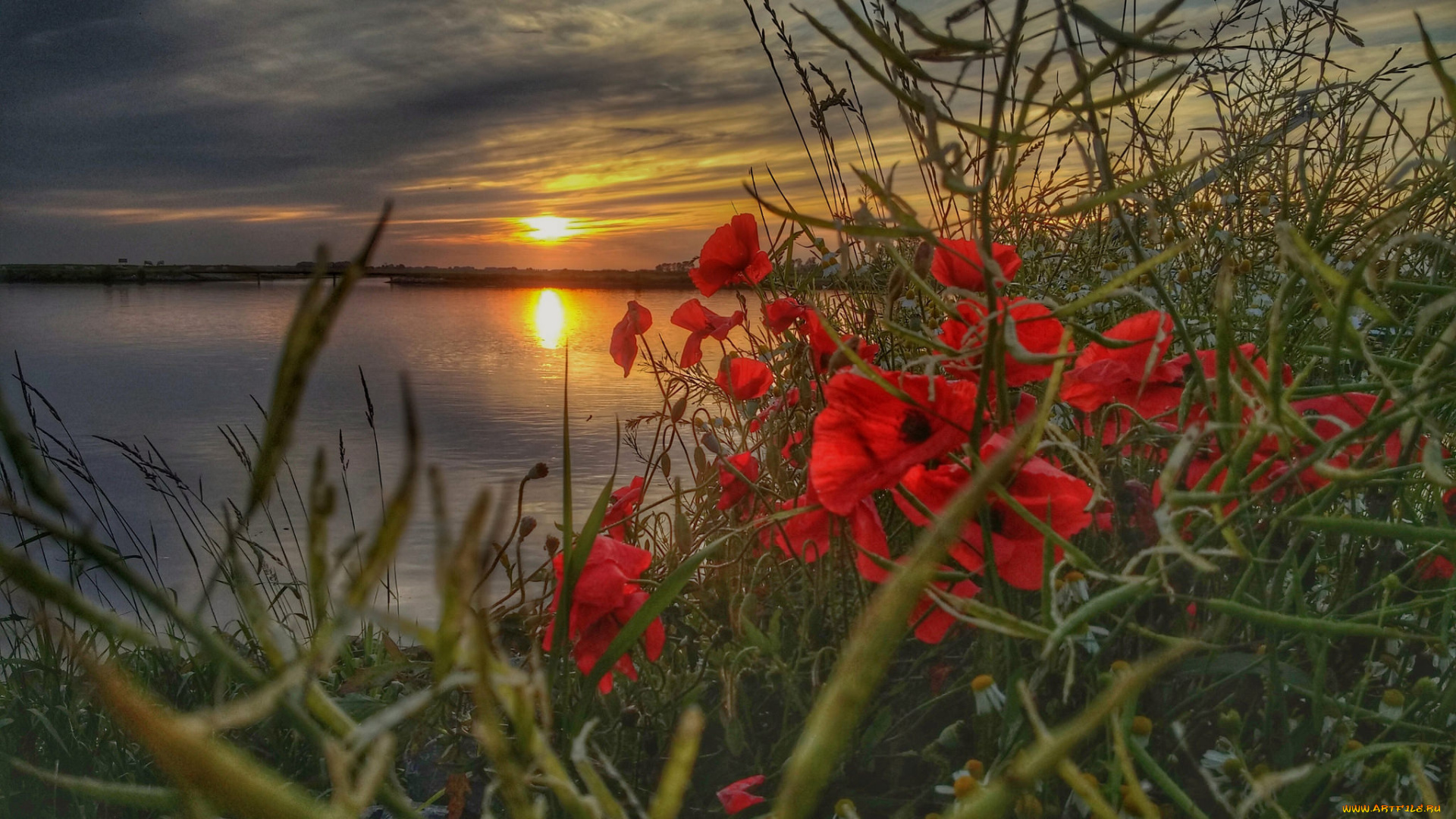 природа, восходы, закаты, рассвет